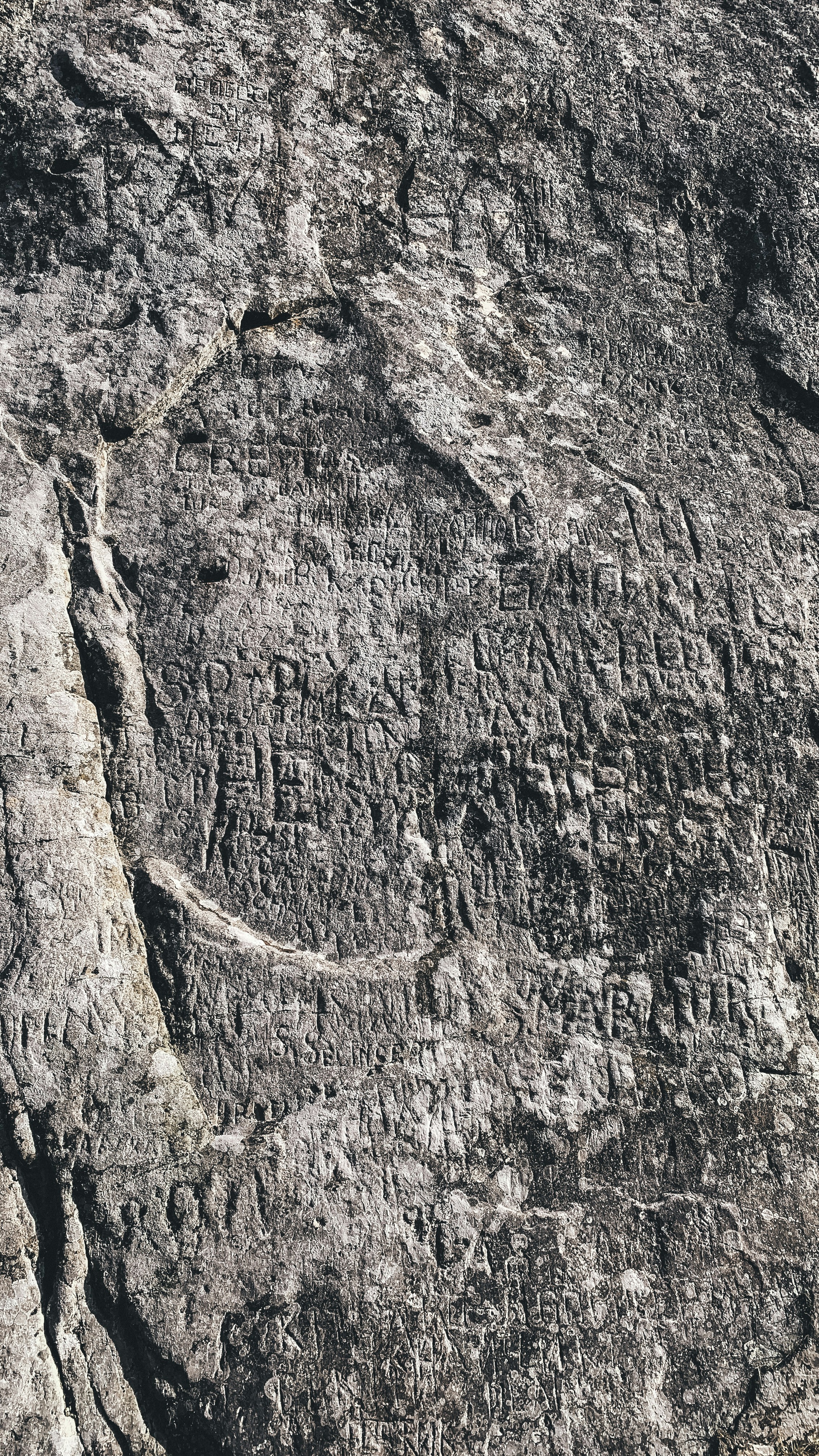 Photo by anny_happy_pie