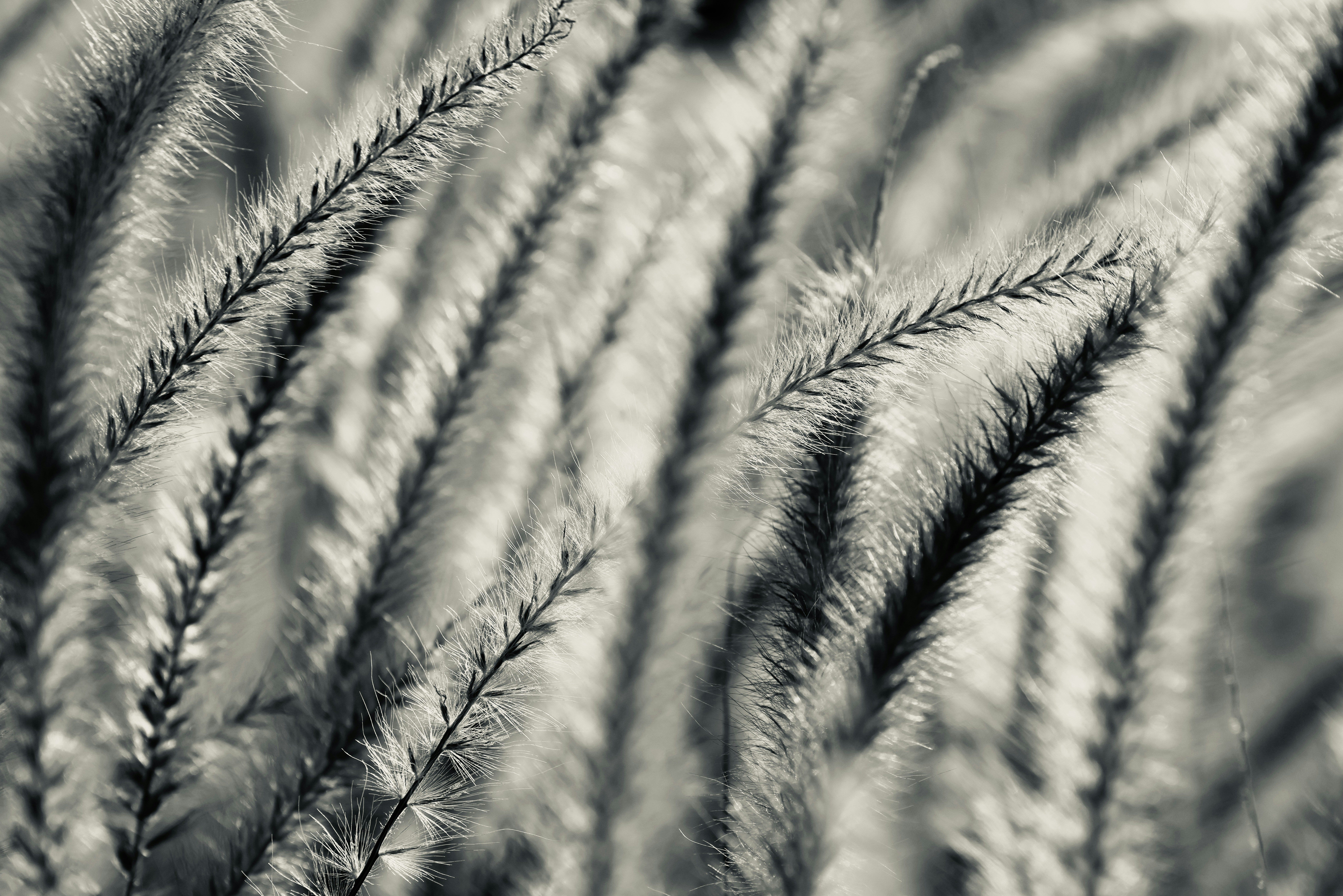 Photo by dickenslin76