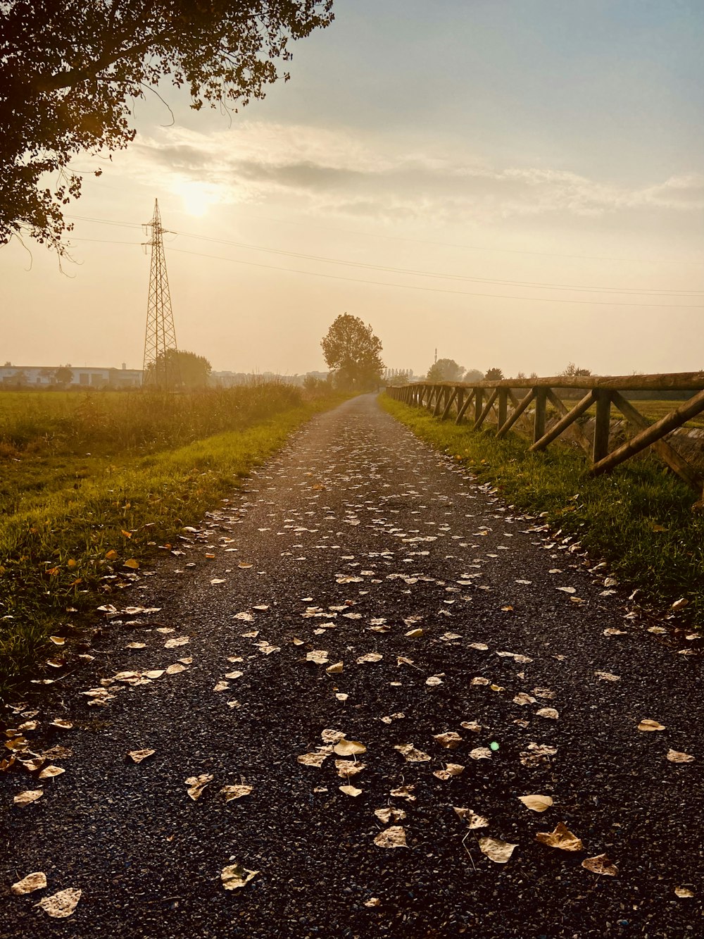 a dirt road with grass and trees on either side of it