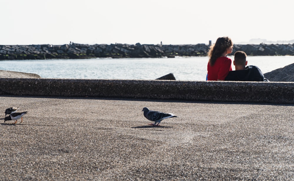 a couple of people sitting on a beach looking at a seagull