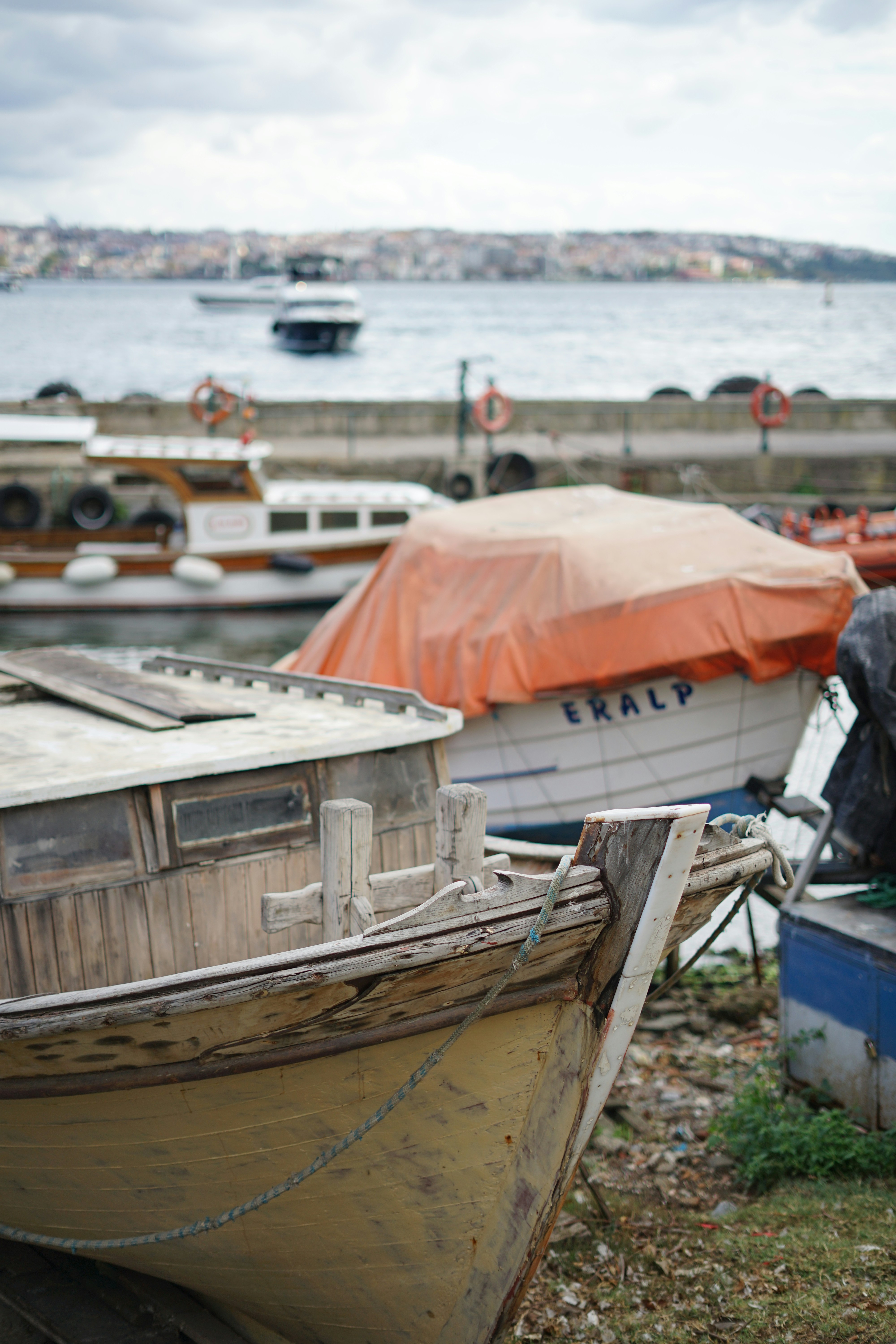boats in the water
