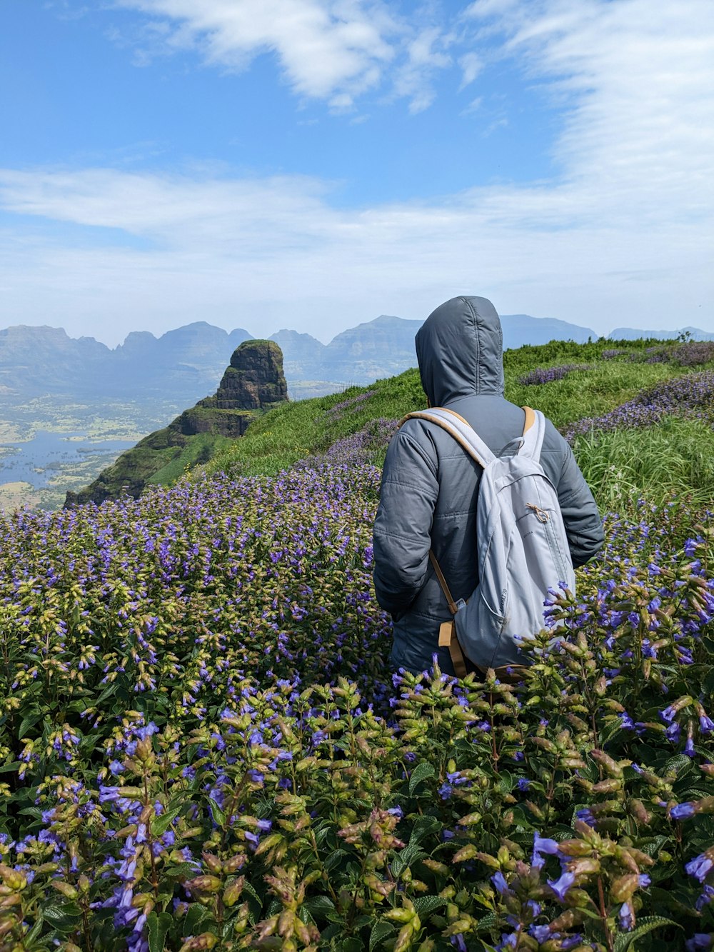 a person standing in a field of flowers with mountains in the background