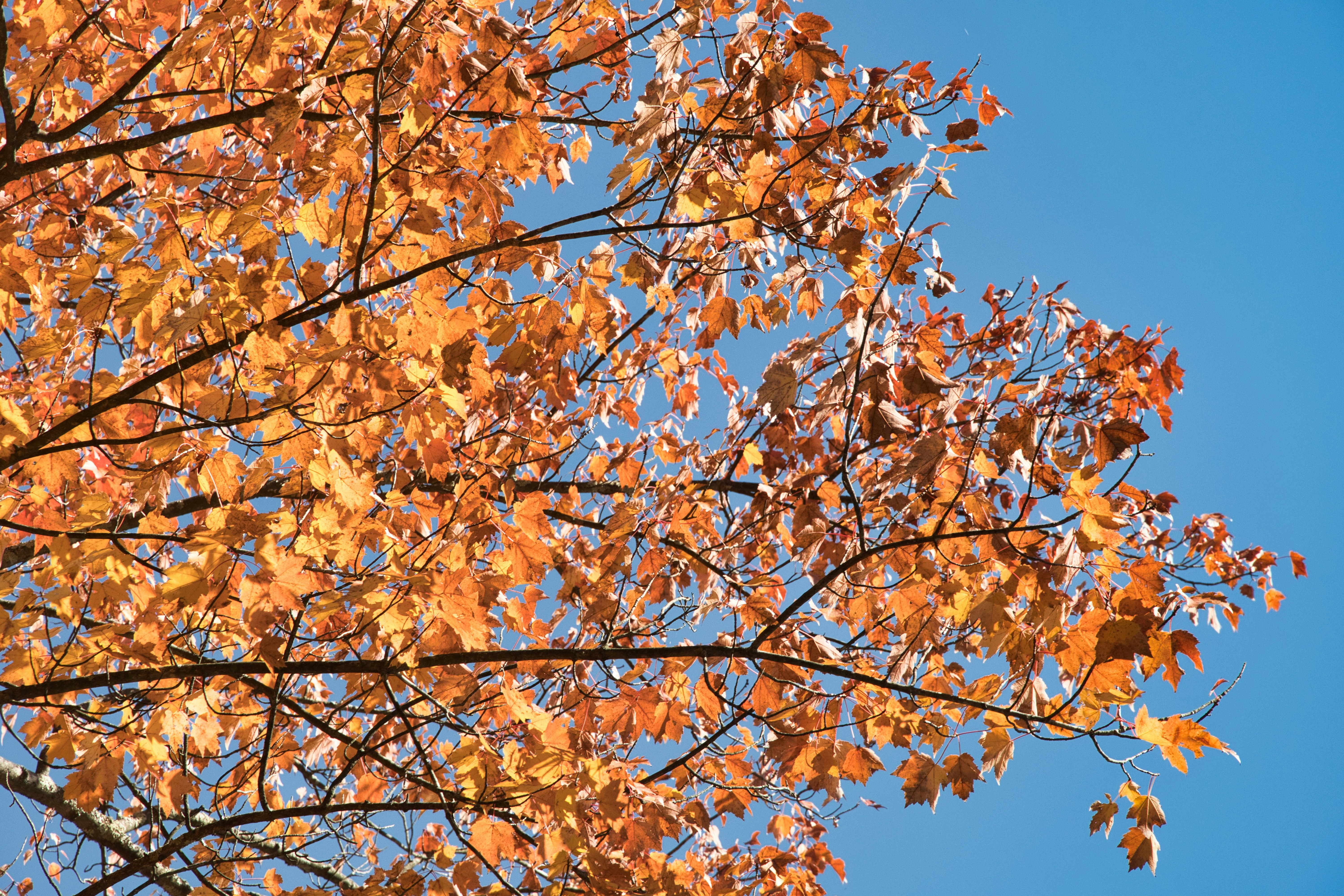 Photo by photosbymarkv