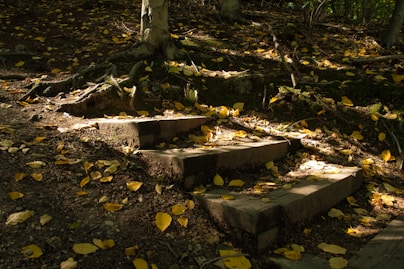 a group of concrete benches in a park