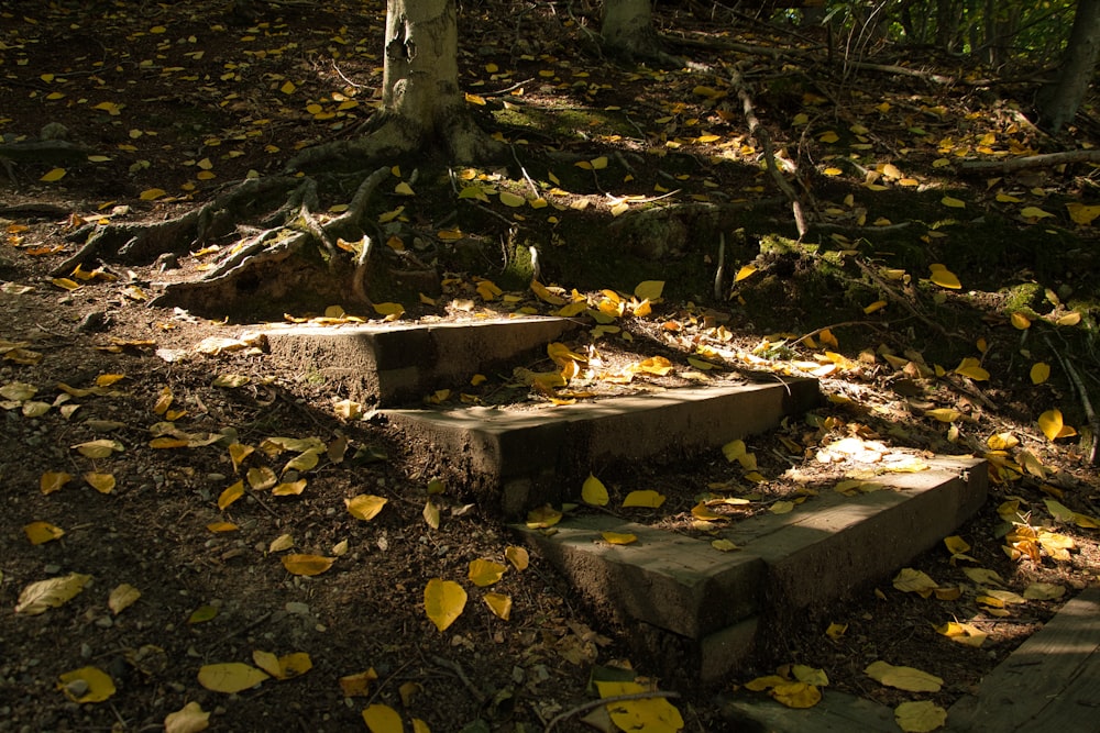 a group of concrete benches in a park