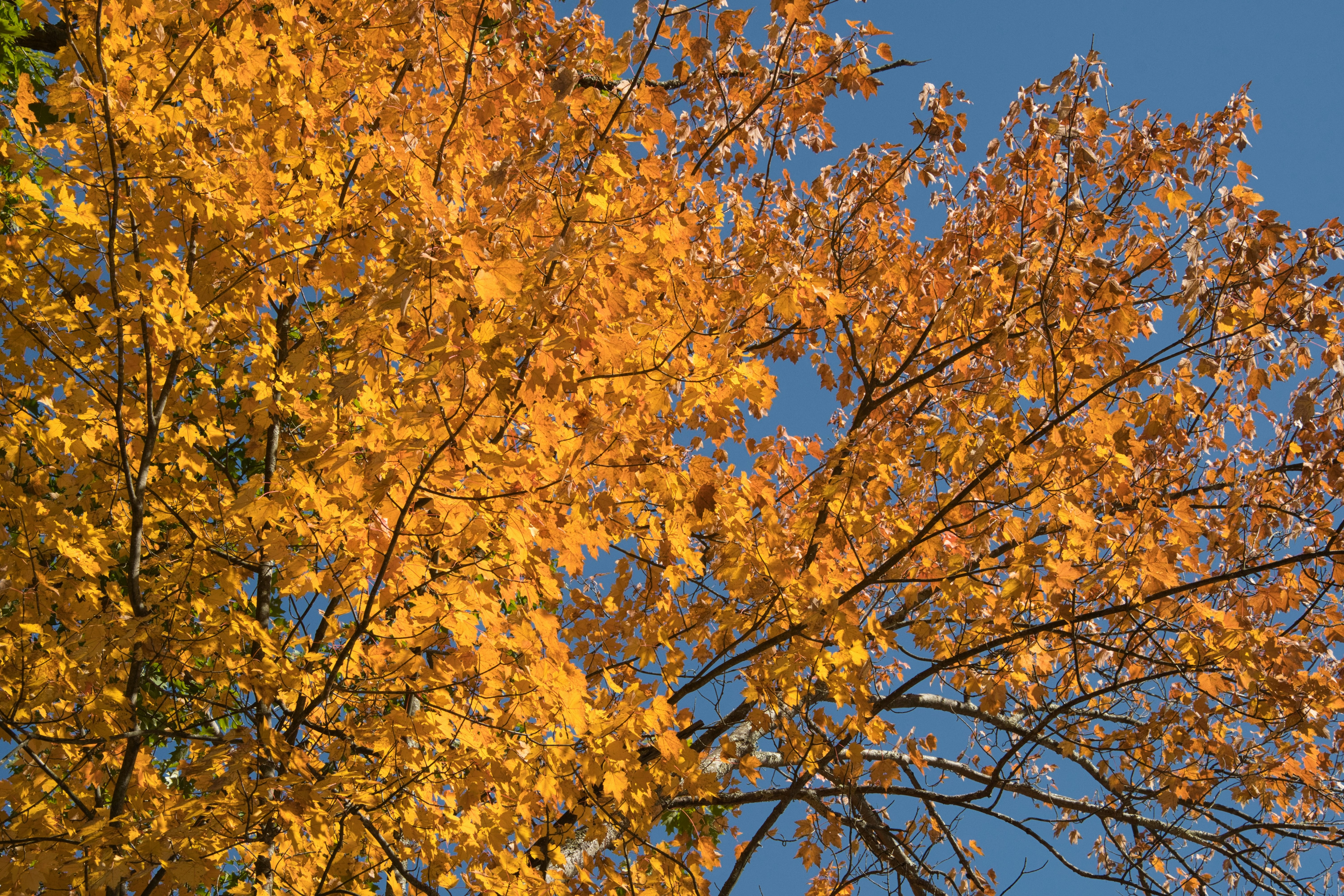 Photo by photosbymarkv