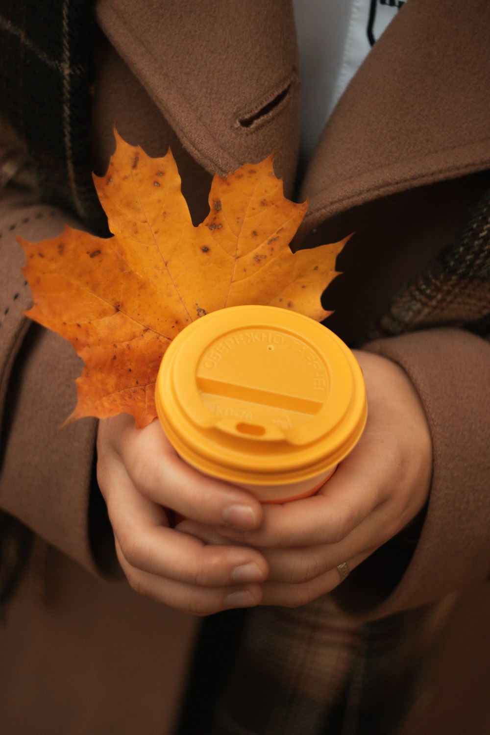 a person holding a yellow container with a yellow substance in it