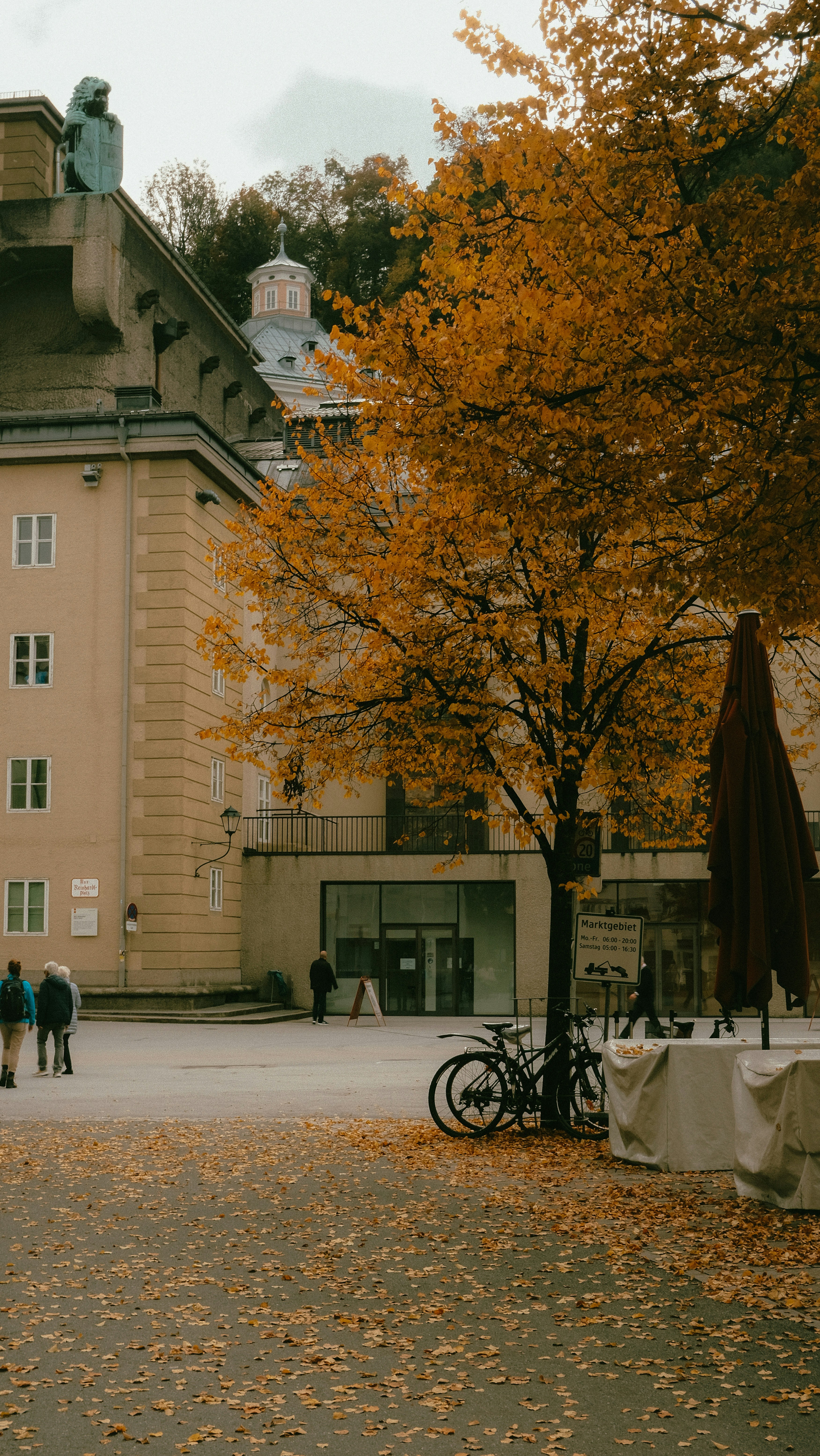 Photo by kmondschein