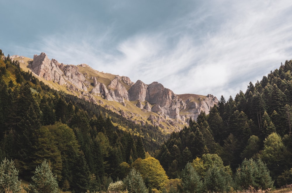 a mountain with trees and rocks