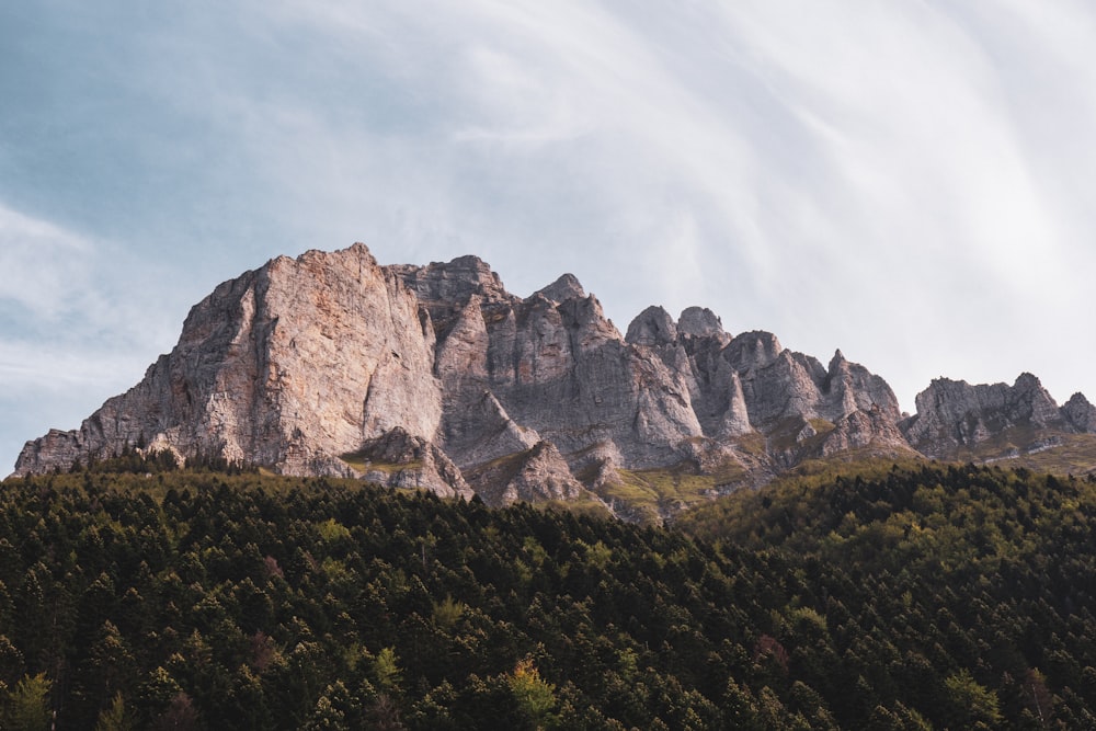 a rocky mountain with trees below