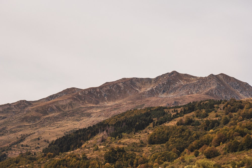 a landscape with trees and hills