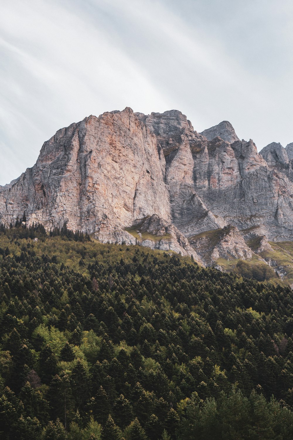 a rocky mountain with trees below