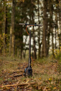 An e-bike parked beside a scenic lakeside path with autumn leaves scattered around.