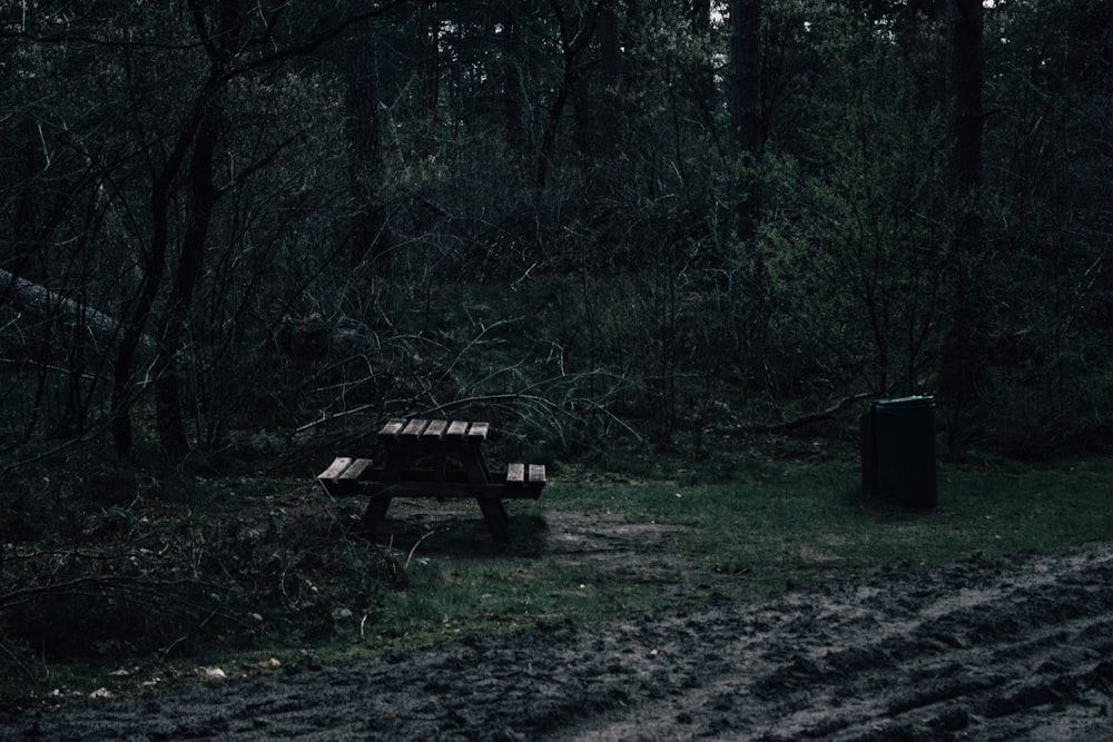 a bench in a park