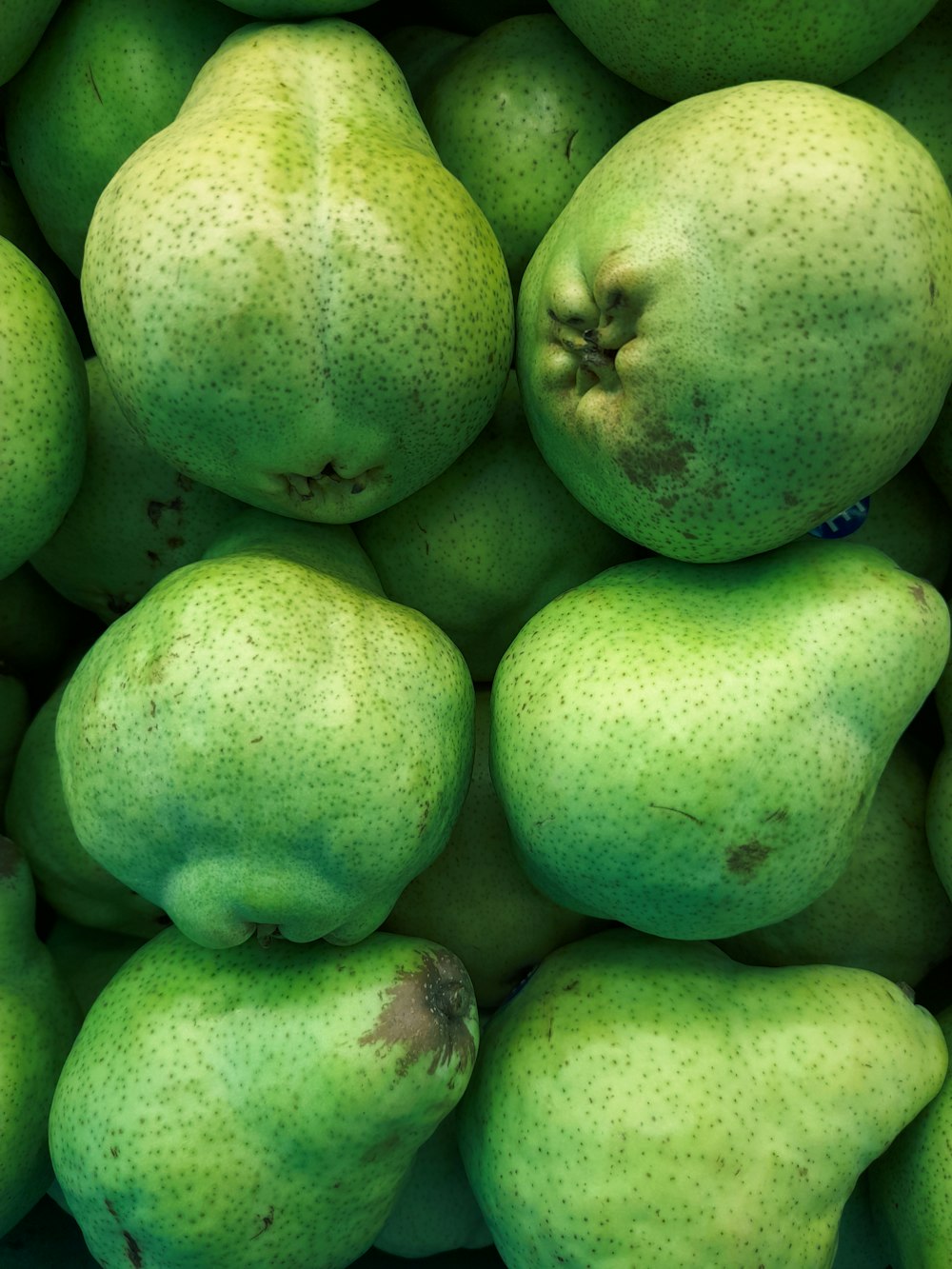 a pile of green fruit