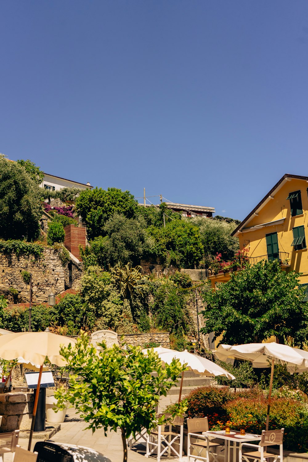 a group of buildings with trees and bushes