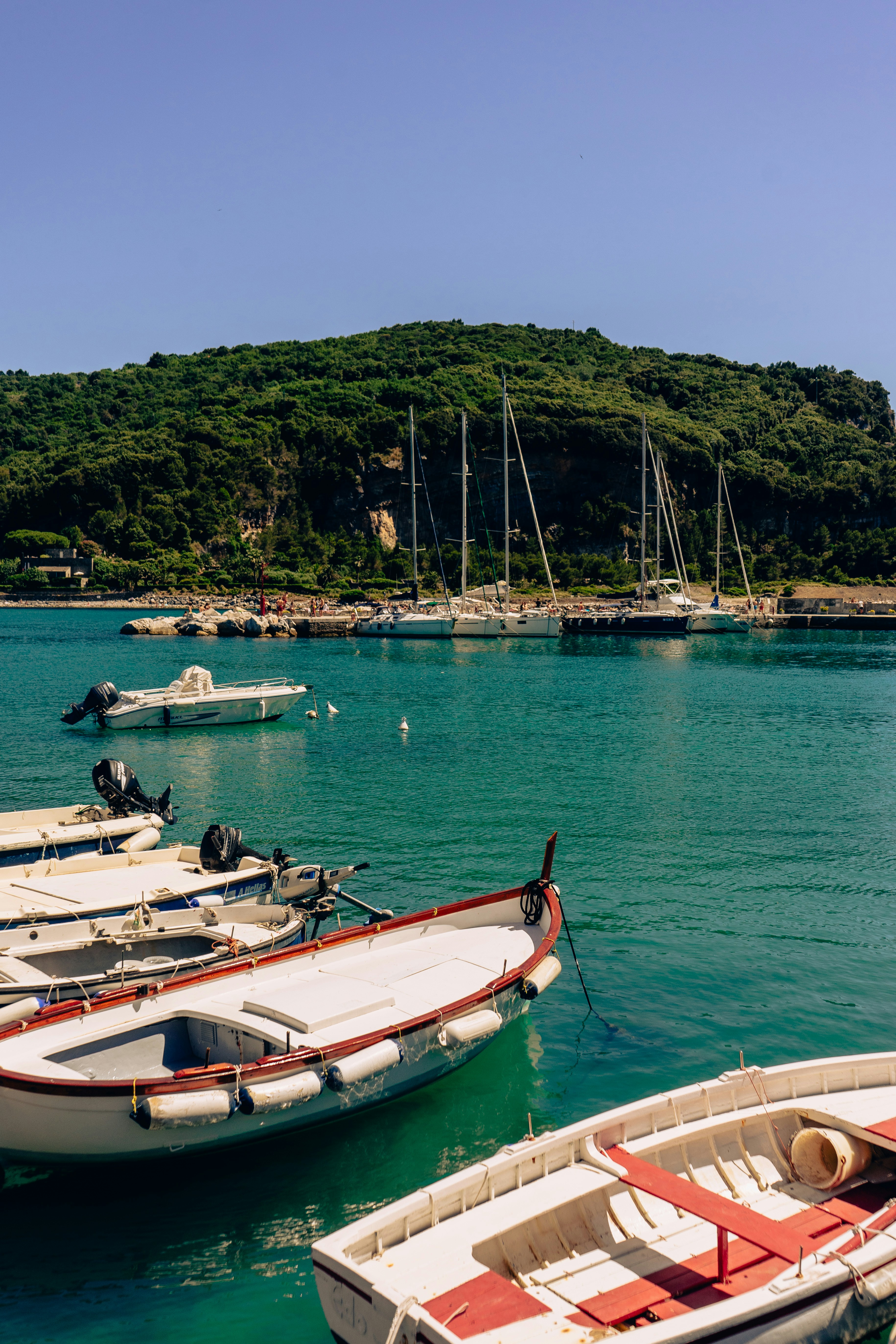 Photo by virussinside