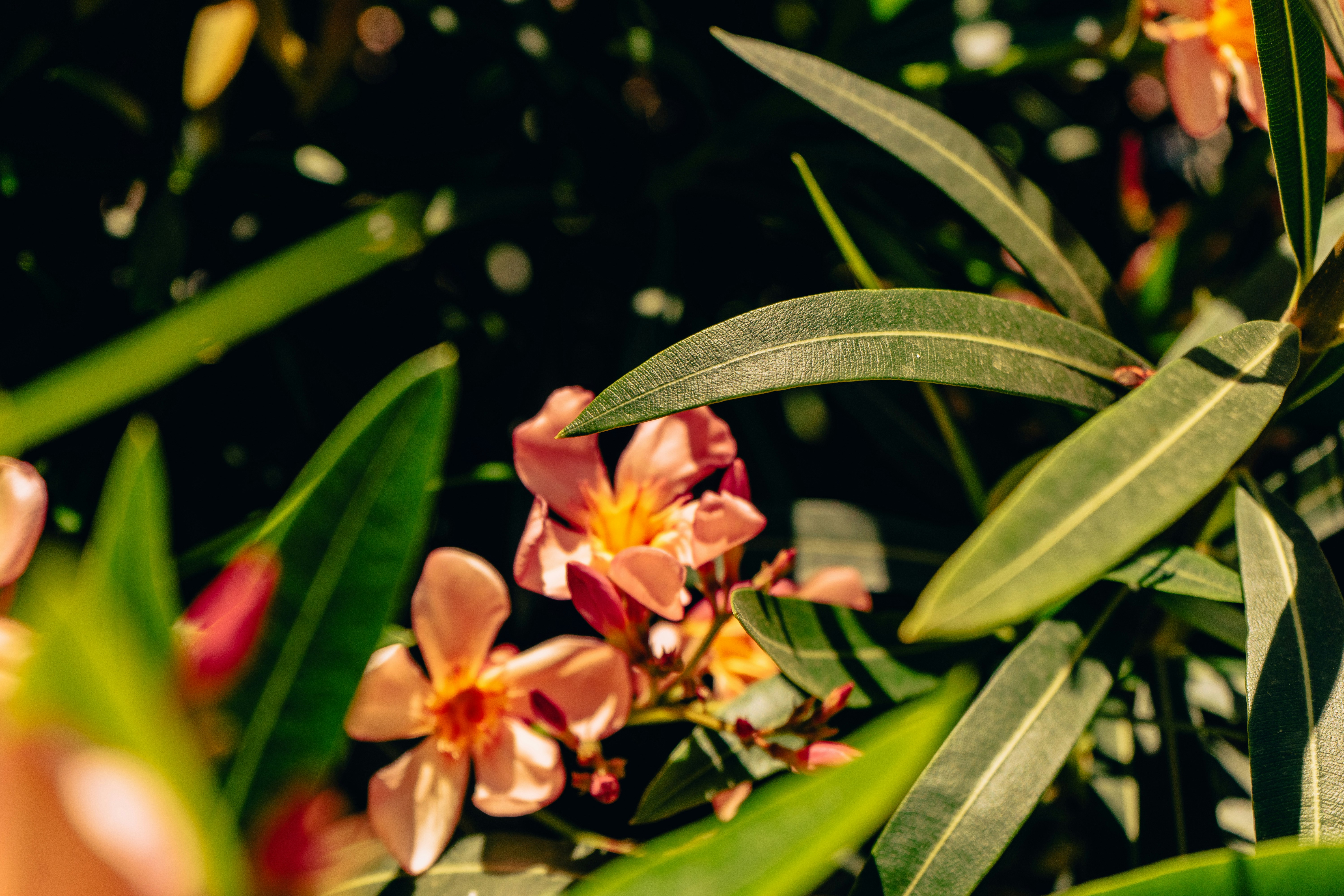 Photo by virussinside