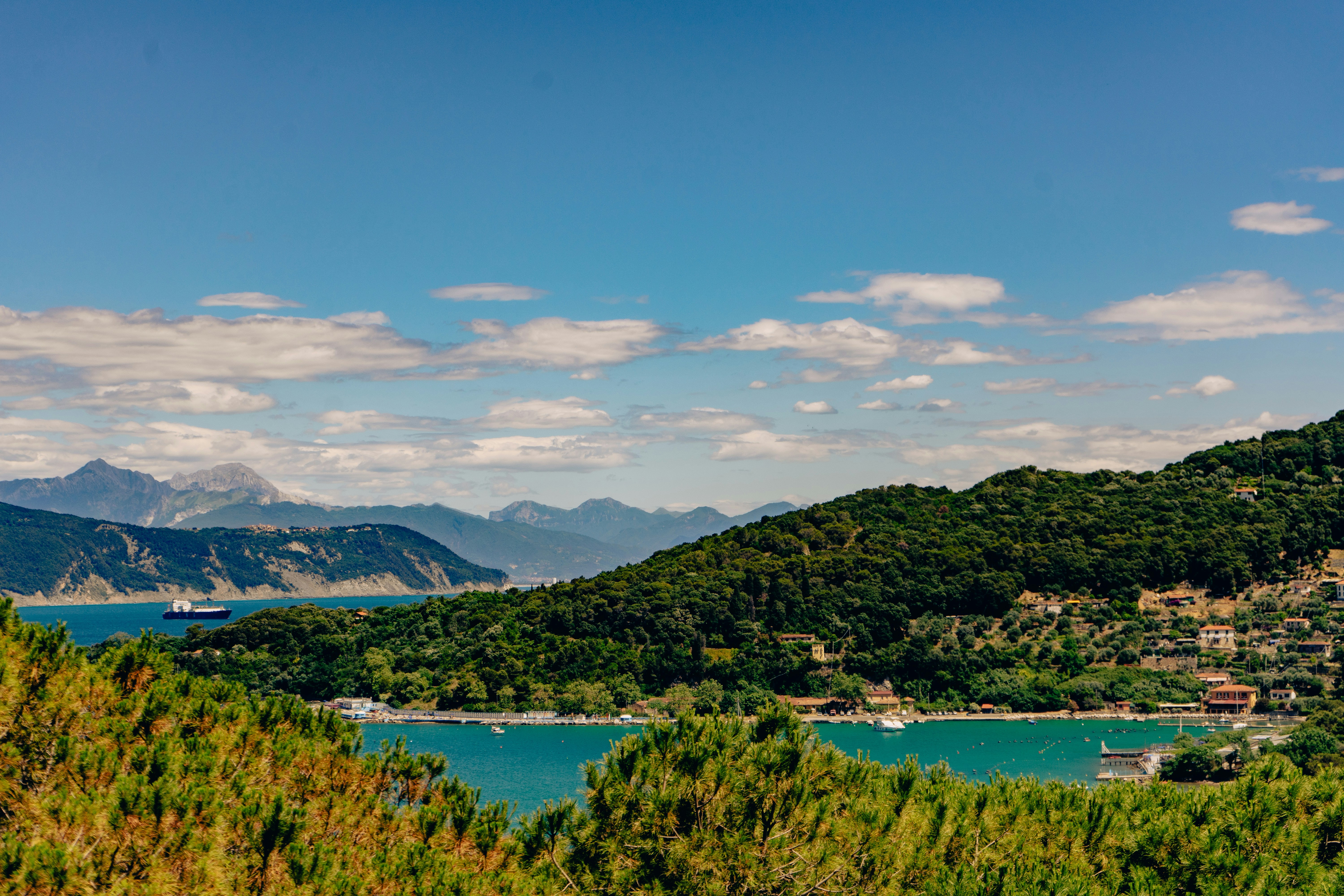 Photo by virussinside