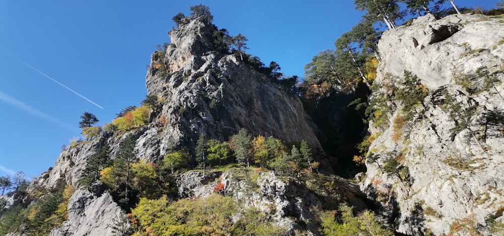 a rocky mountain with trees