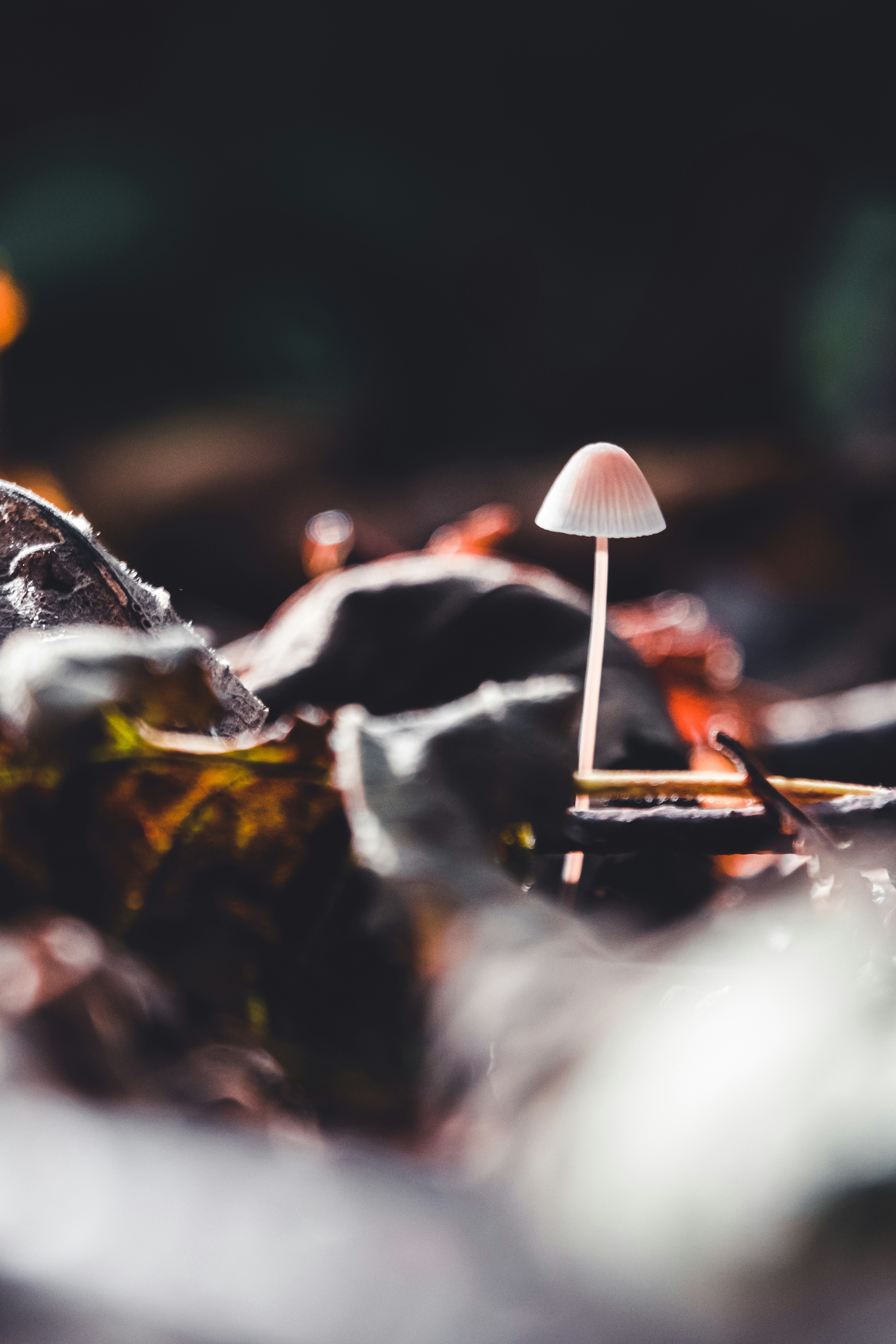 Photo by robinmathlener