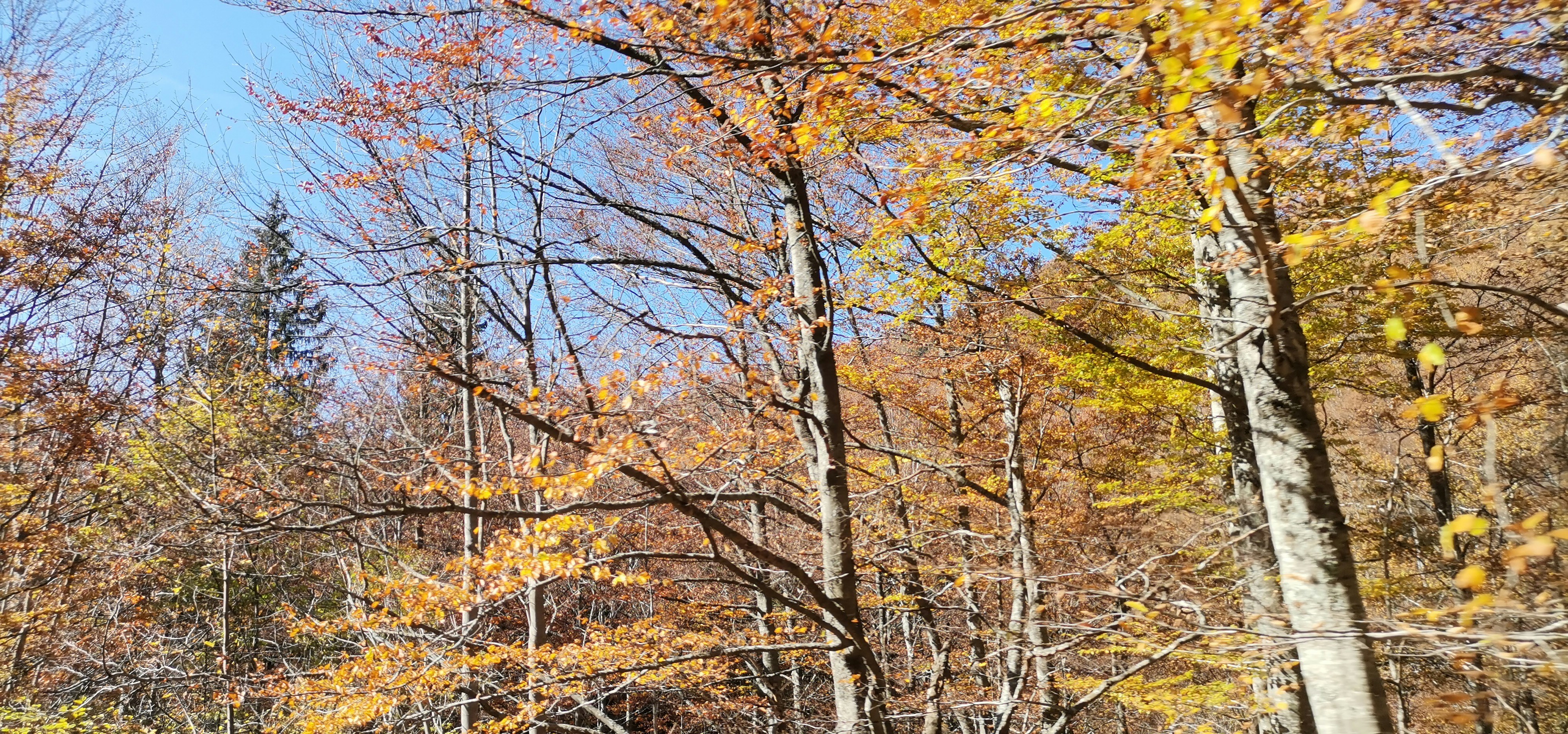 Photo by worldofmagic