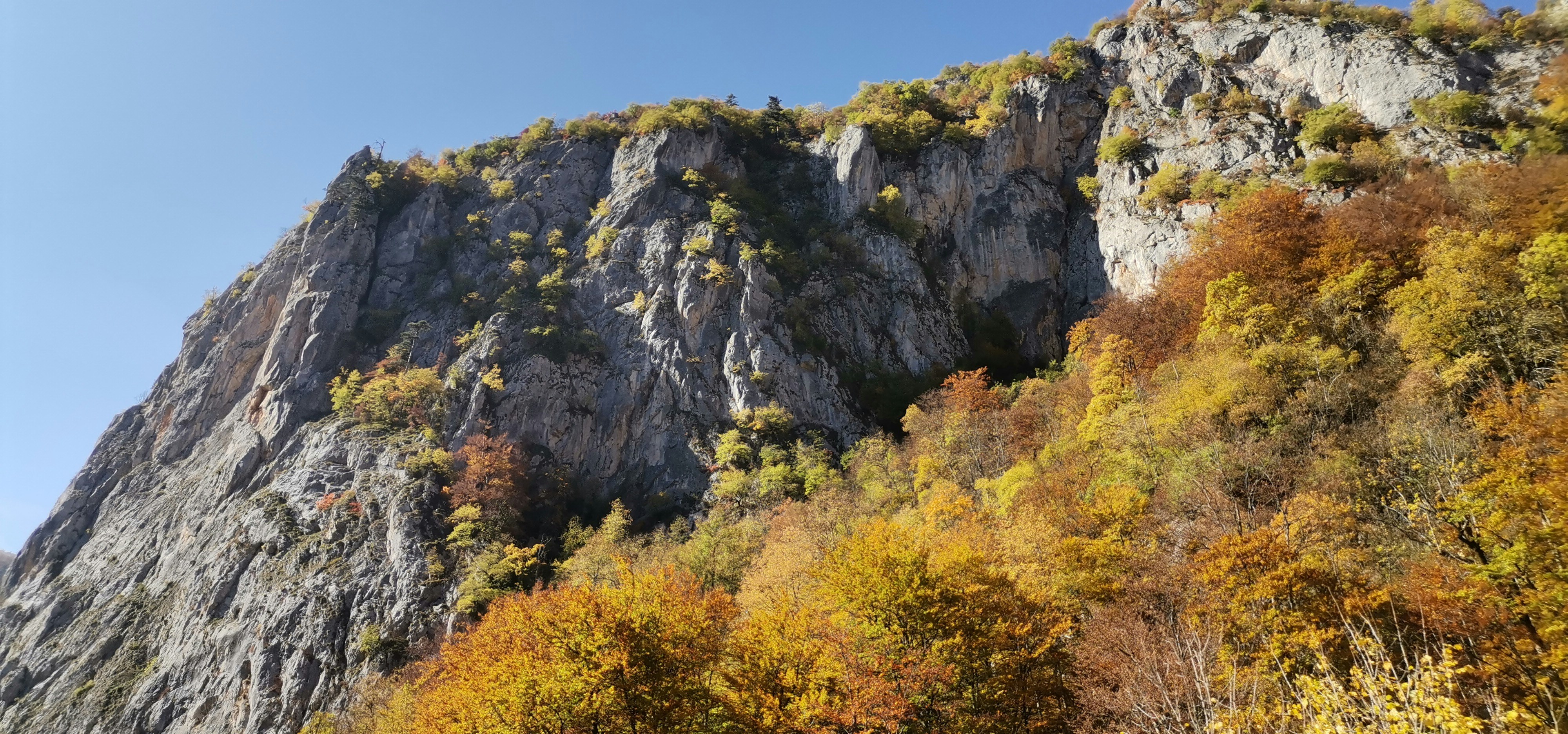 Photo by worldofmagic