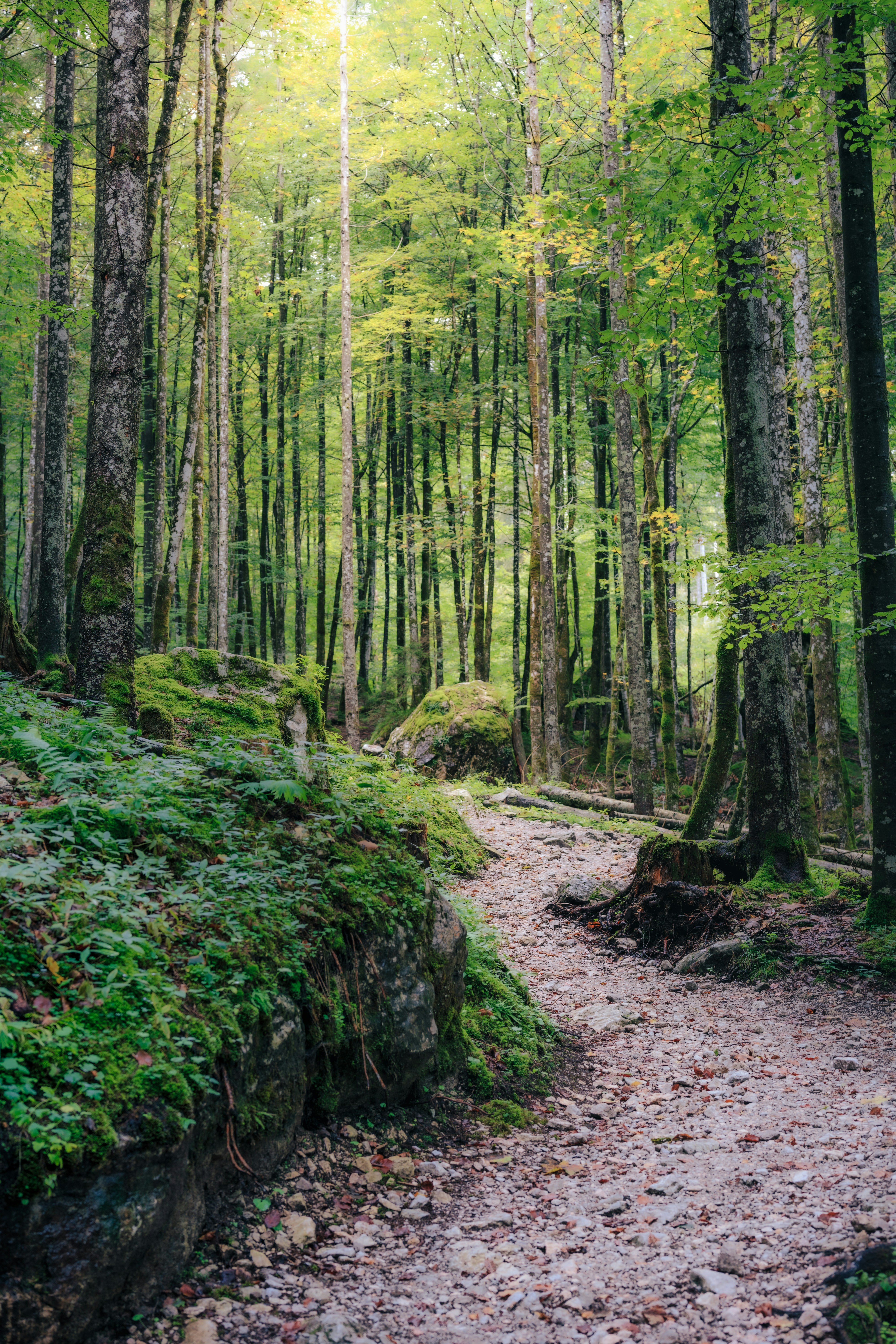 Photo by danielsessler