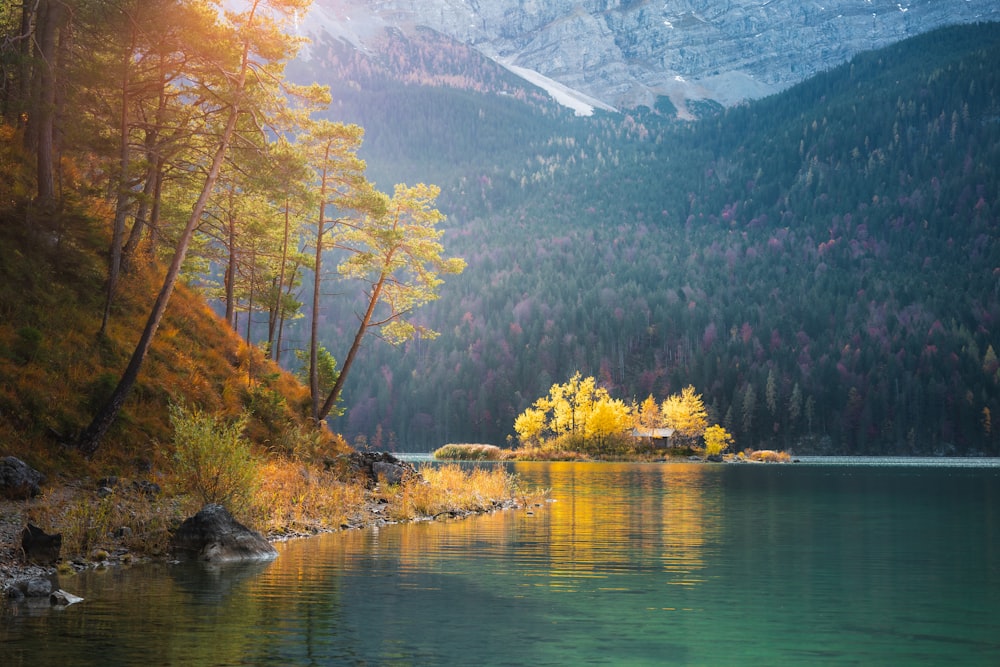 a lake surrounded by trees and mountains