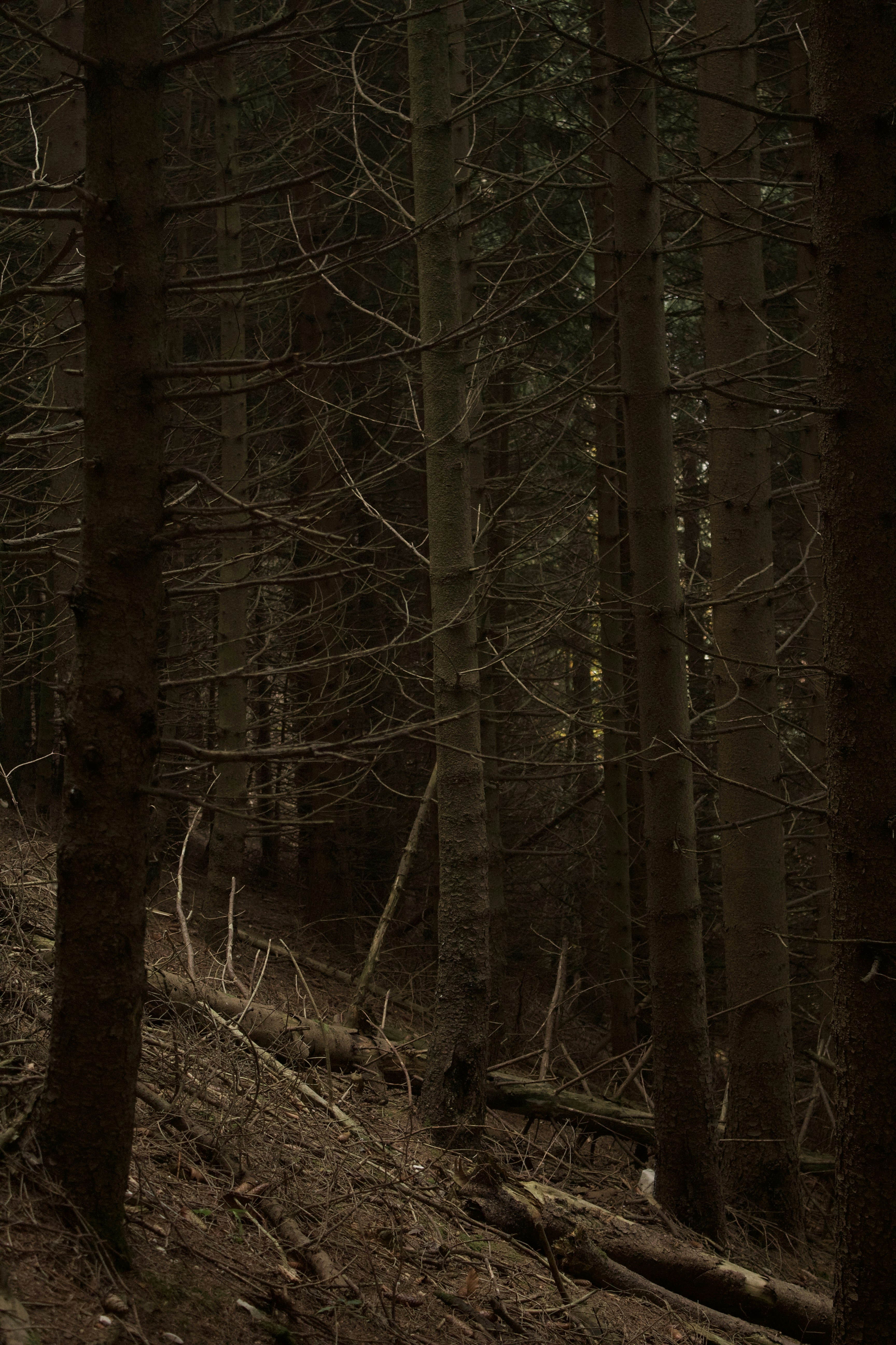 Photo by photosbyedoardo