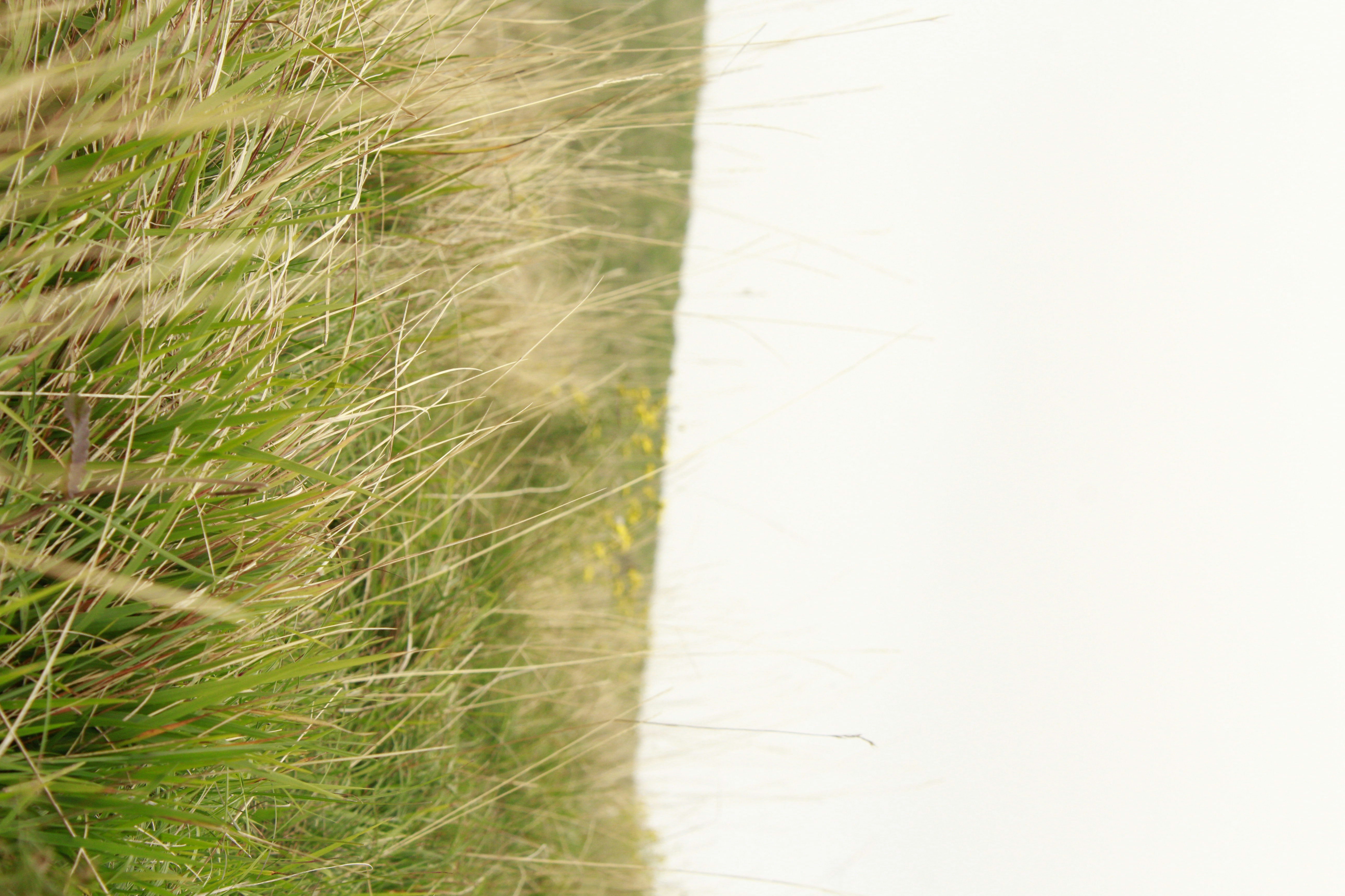 Photo by photosbyedoardo