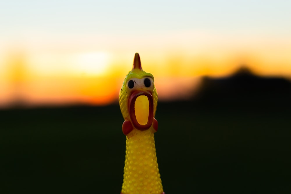 a yellow toy duck