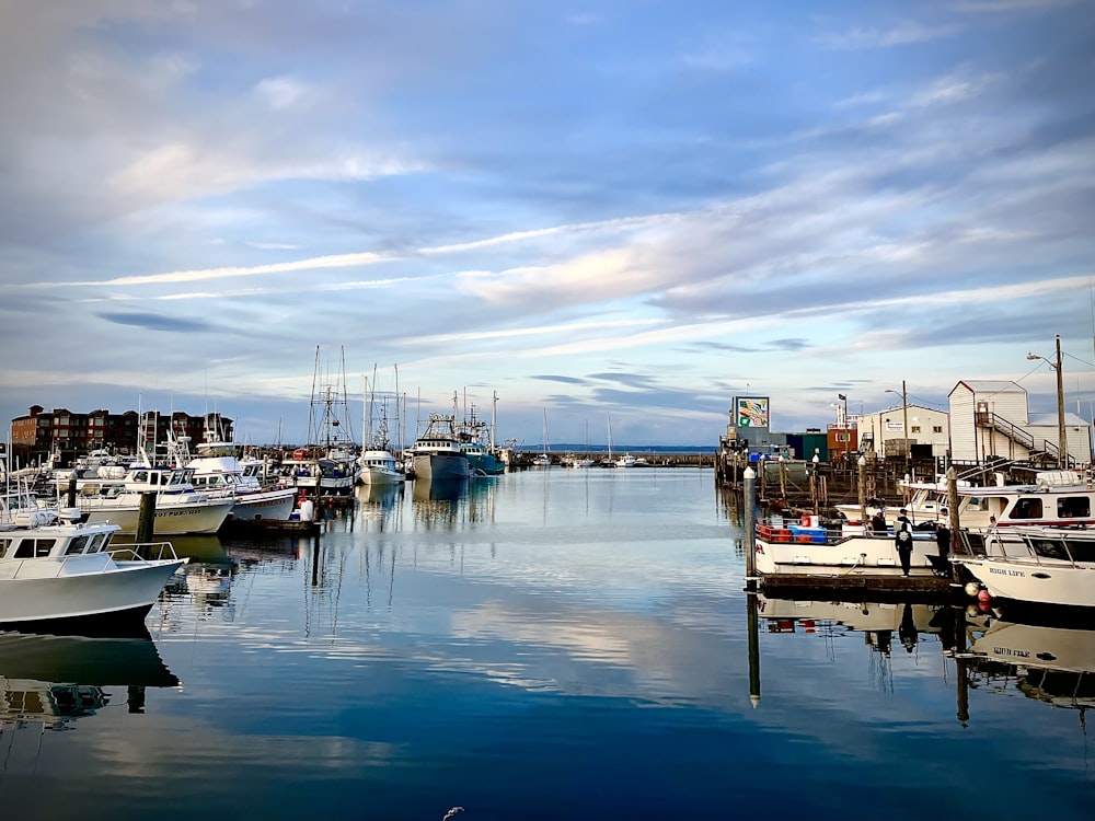 boats docked at a pier