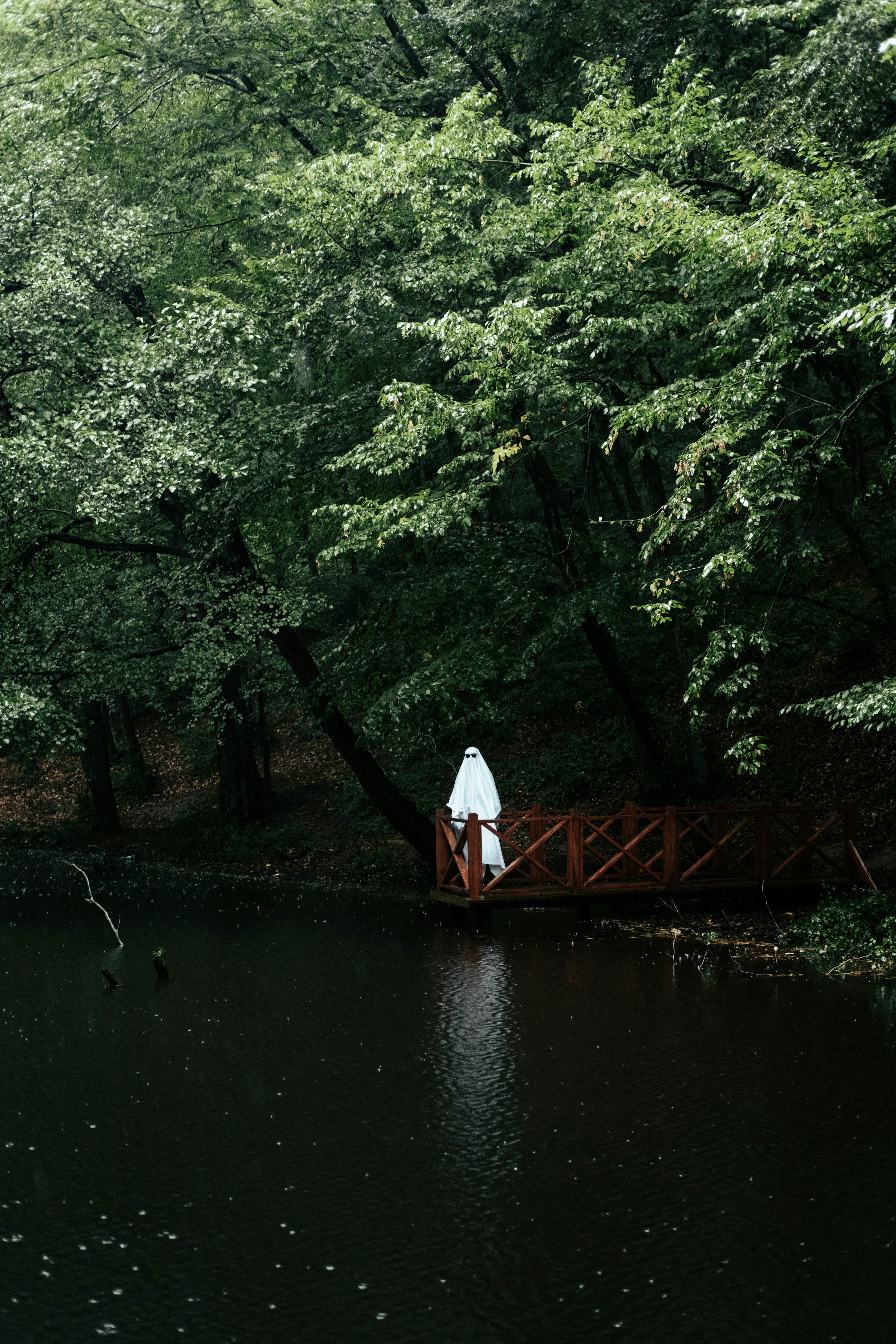 Photo by mutecevvil