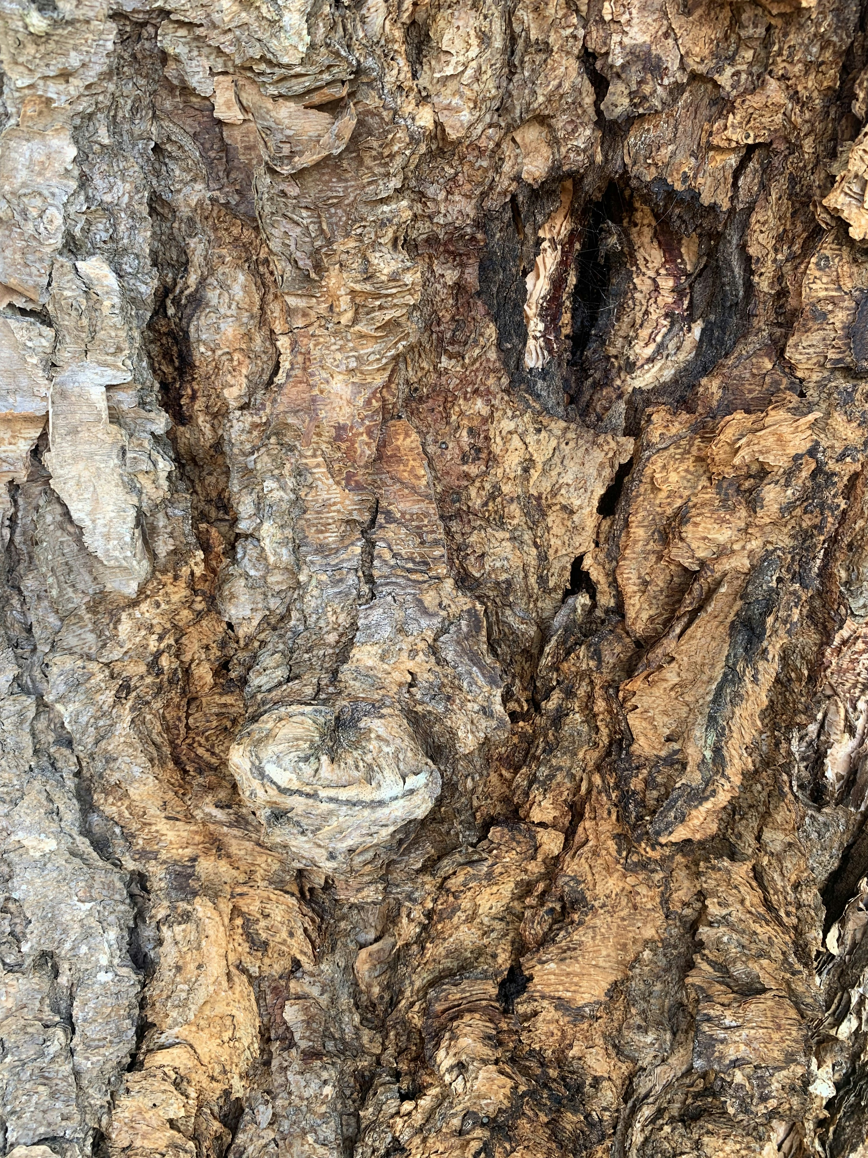 Photo by creativednp