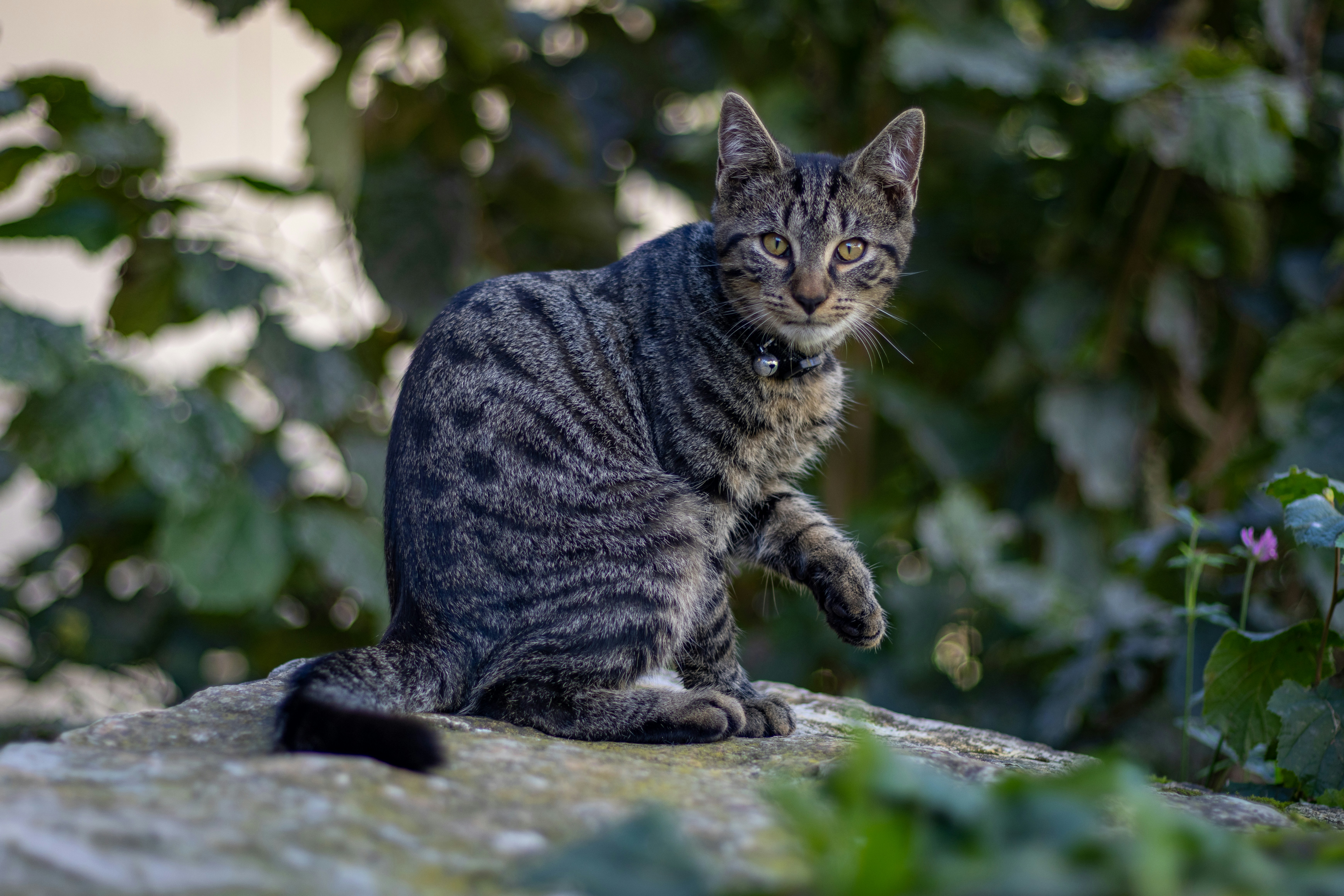 Photo by noelwangler