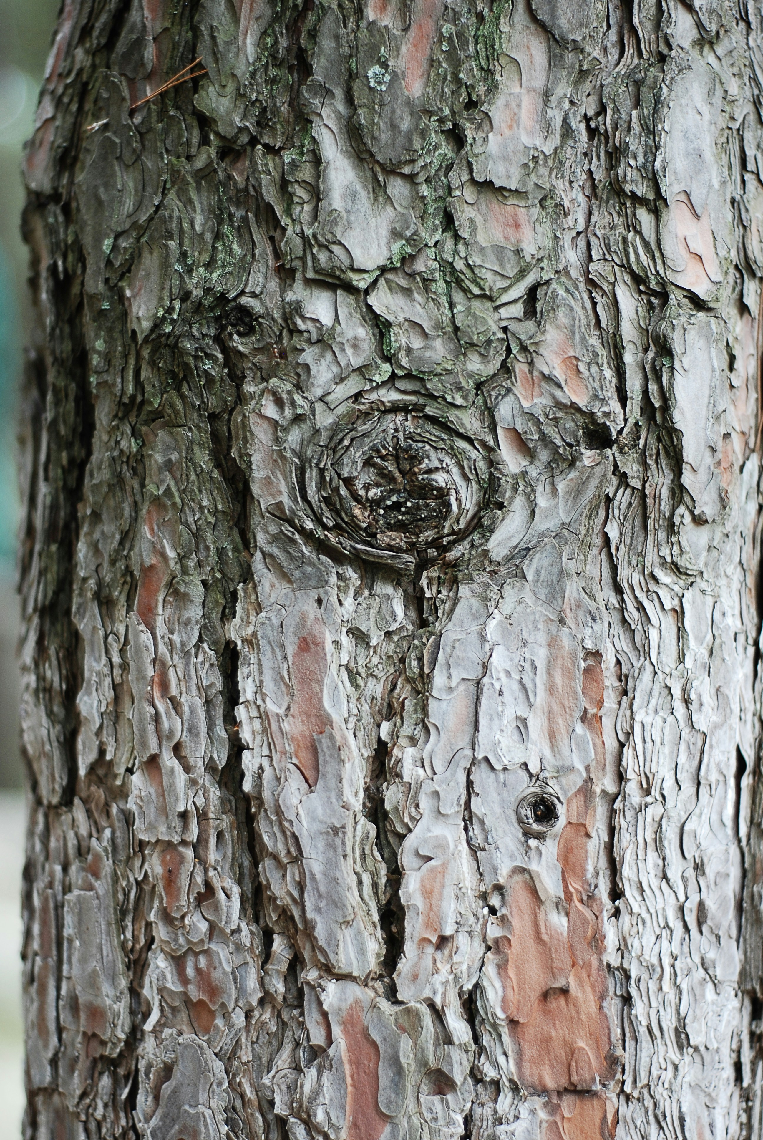 Photo by kovalskihelga