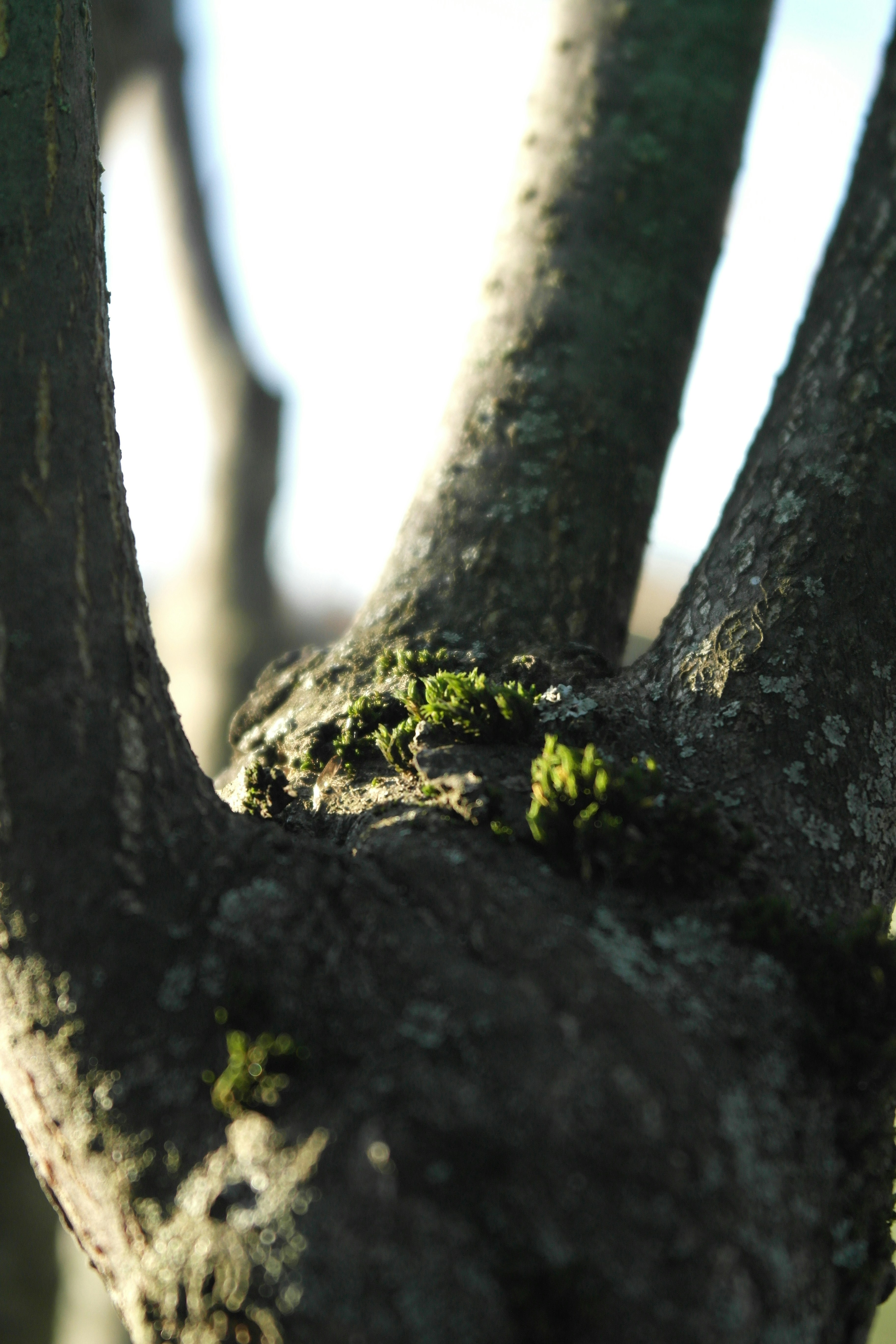 The Replication Crisis: Why Half of Science Might Be Wrong