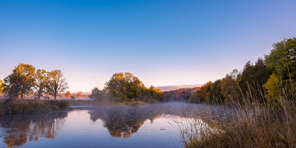 a river with trees and grass