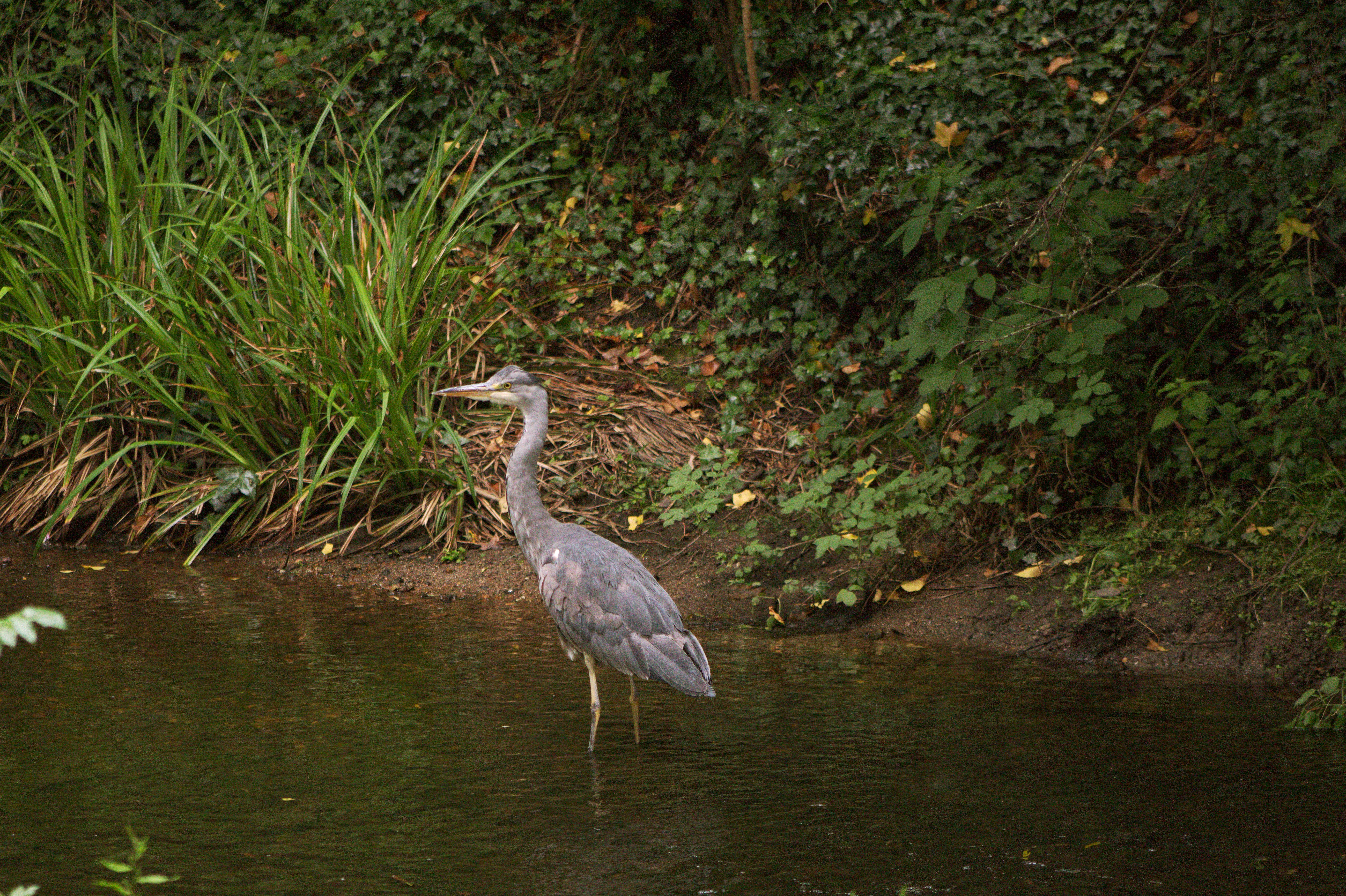 Photo by fidgetingferdie