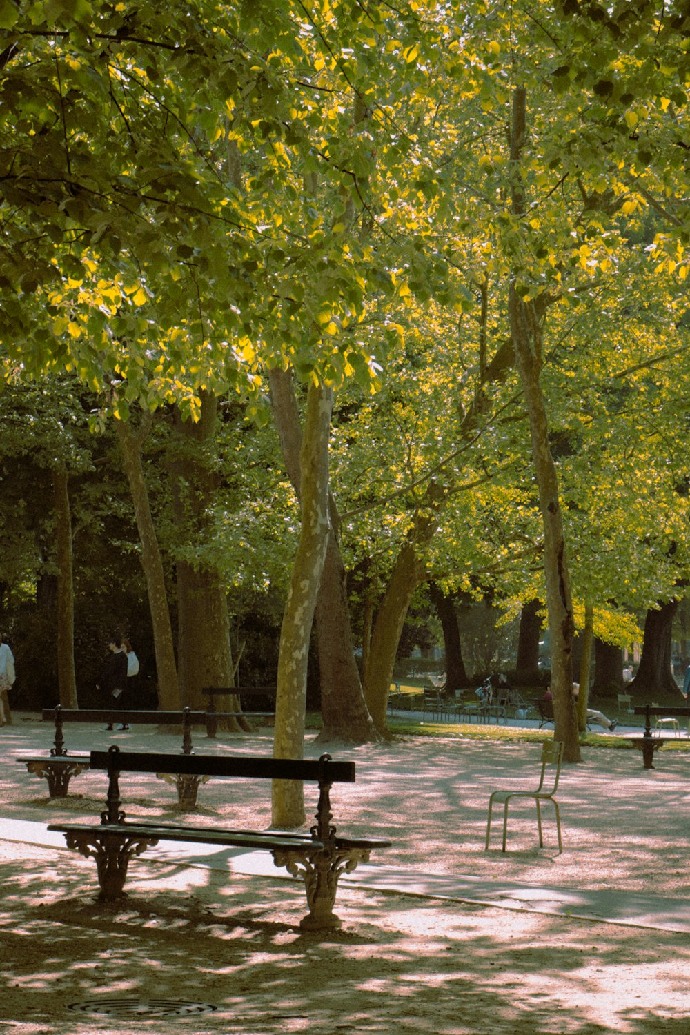 a park with benches