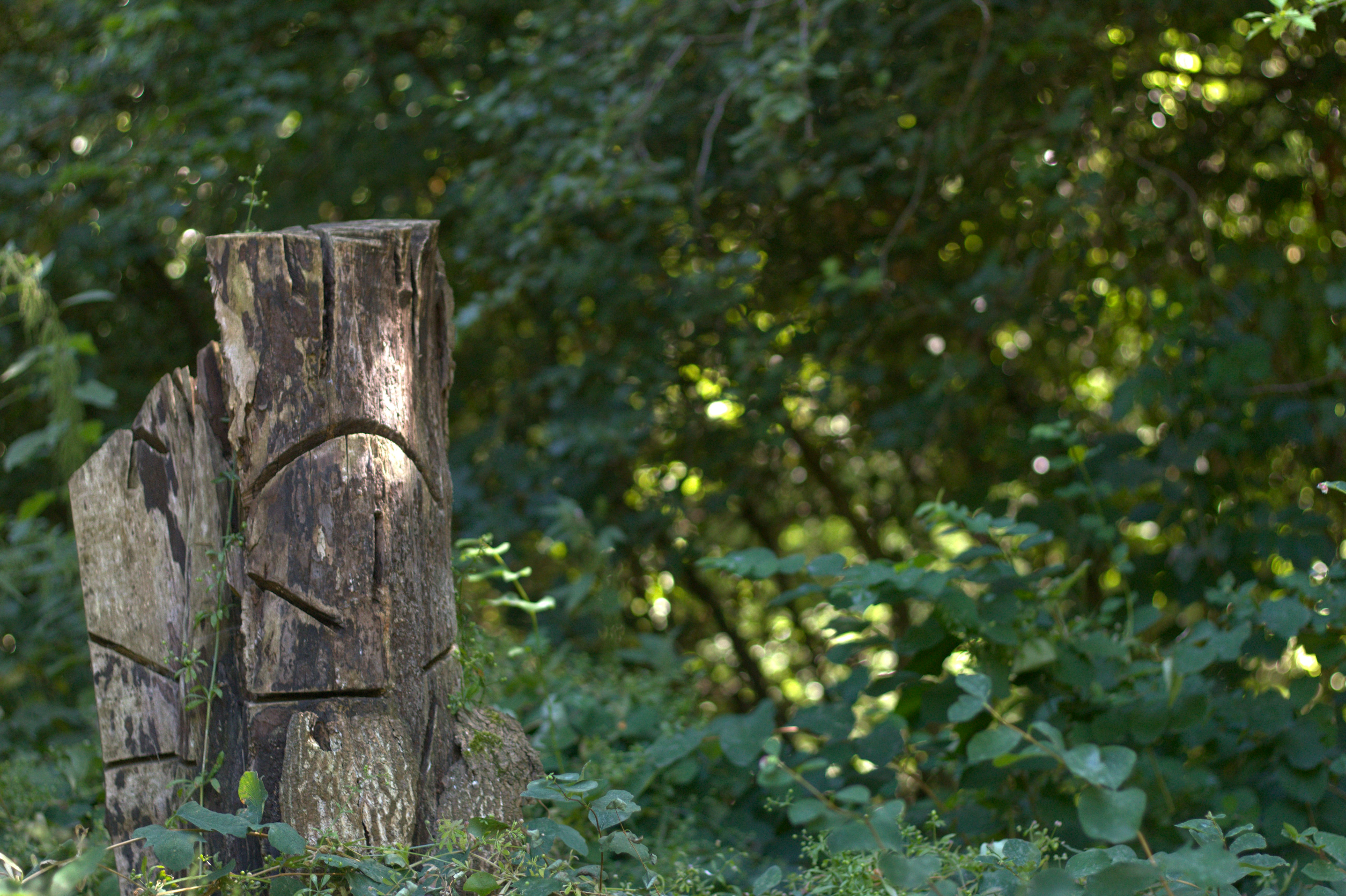 Photo by fidgetingferdie