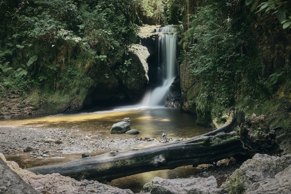 a waterfall in a forest