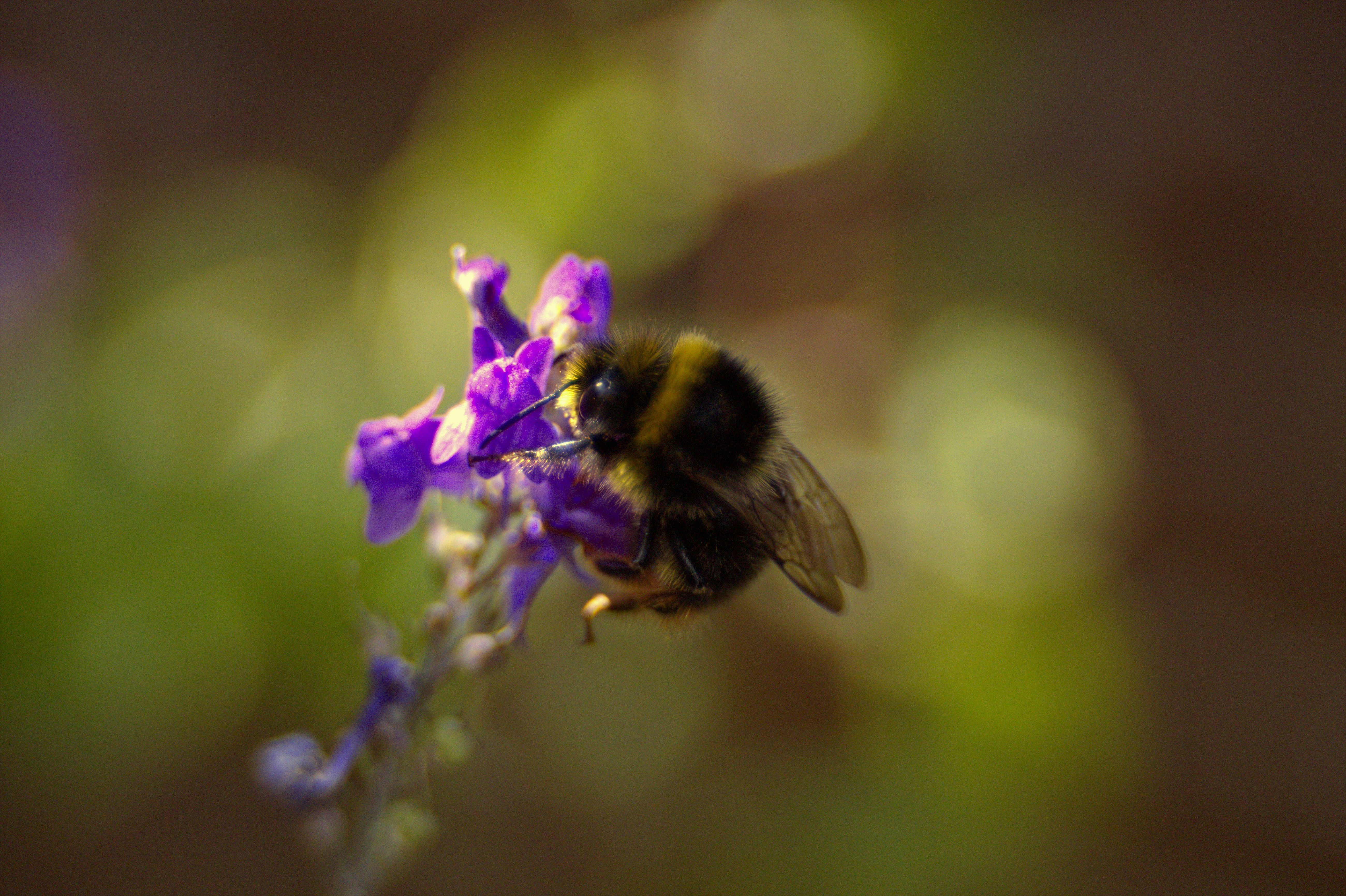 Photo by fidgetingferdie