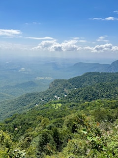 a landscape with trees and hills