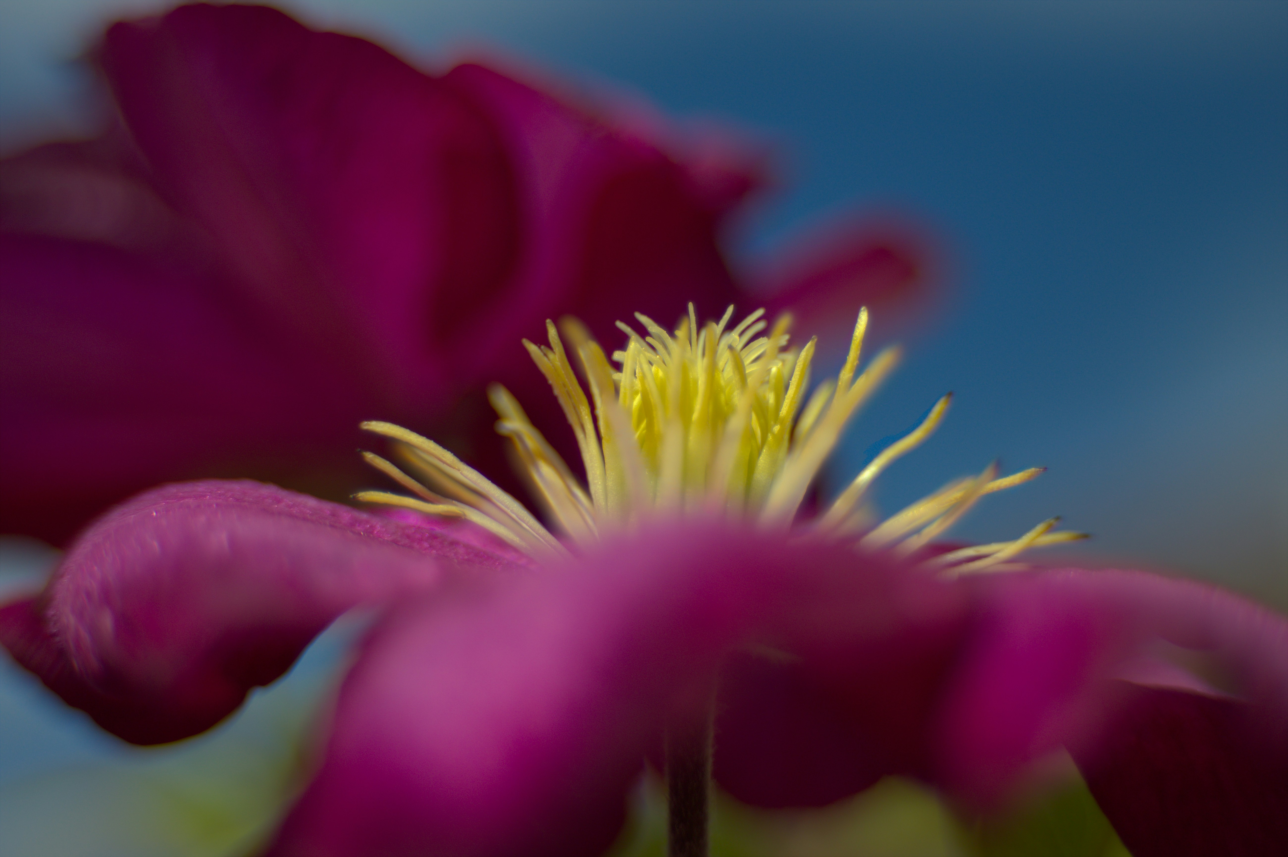 Photo by fidgetingferdie