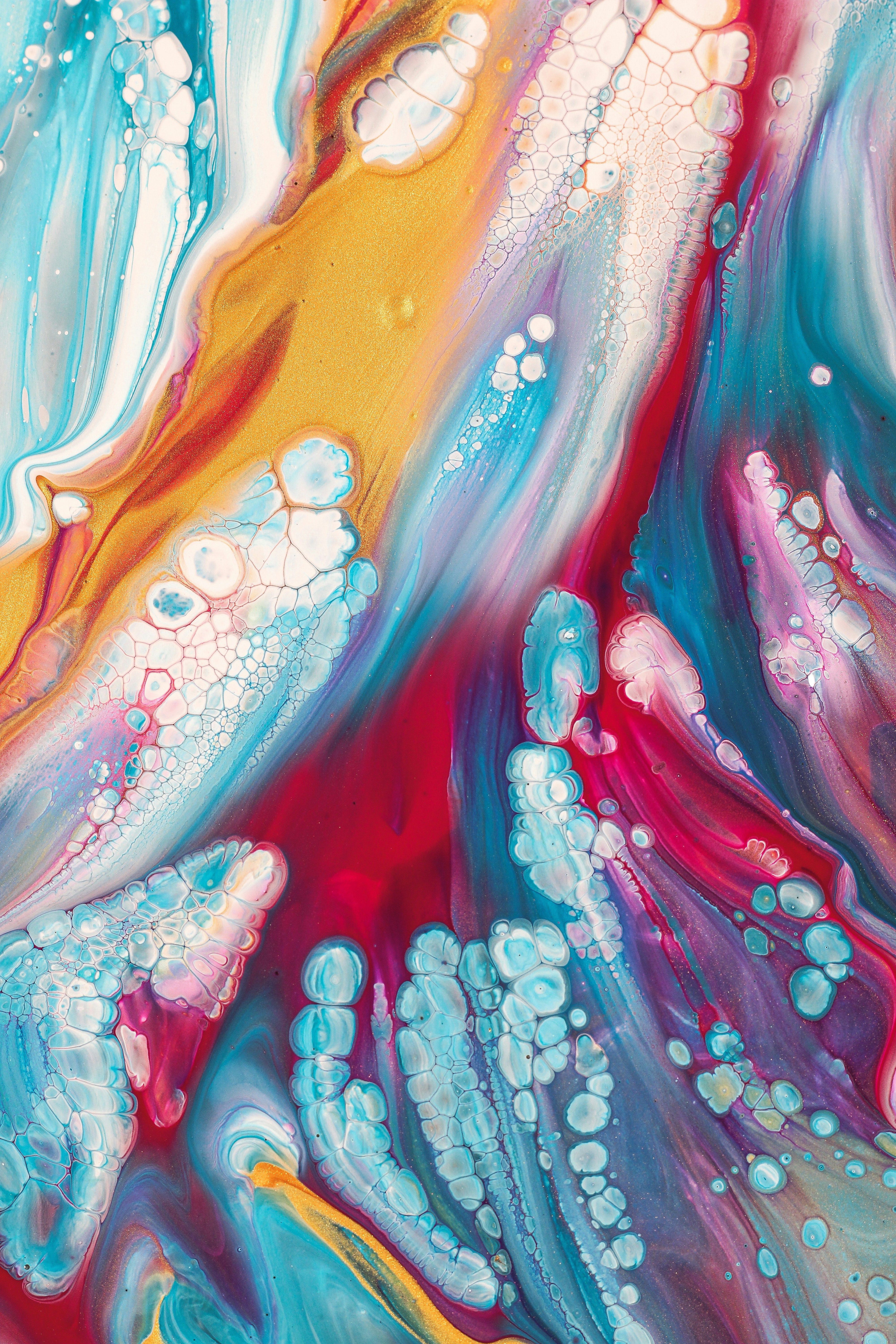 Photo by susan_wilkinson