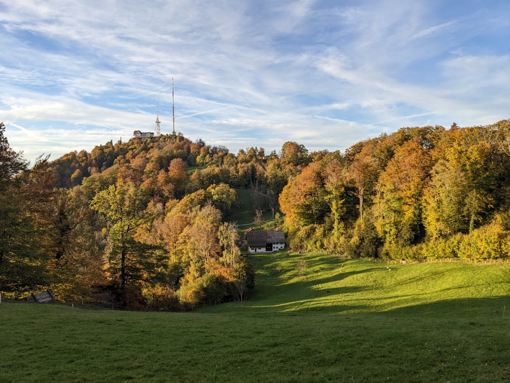 une maison dans un champ d’herbe avec des arbres et une colline en arrière-plan