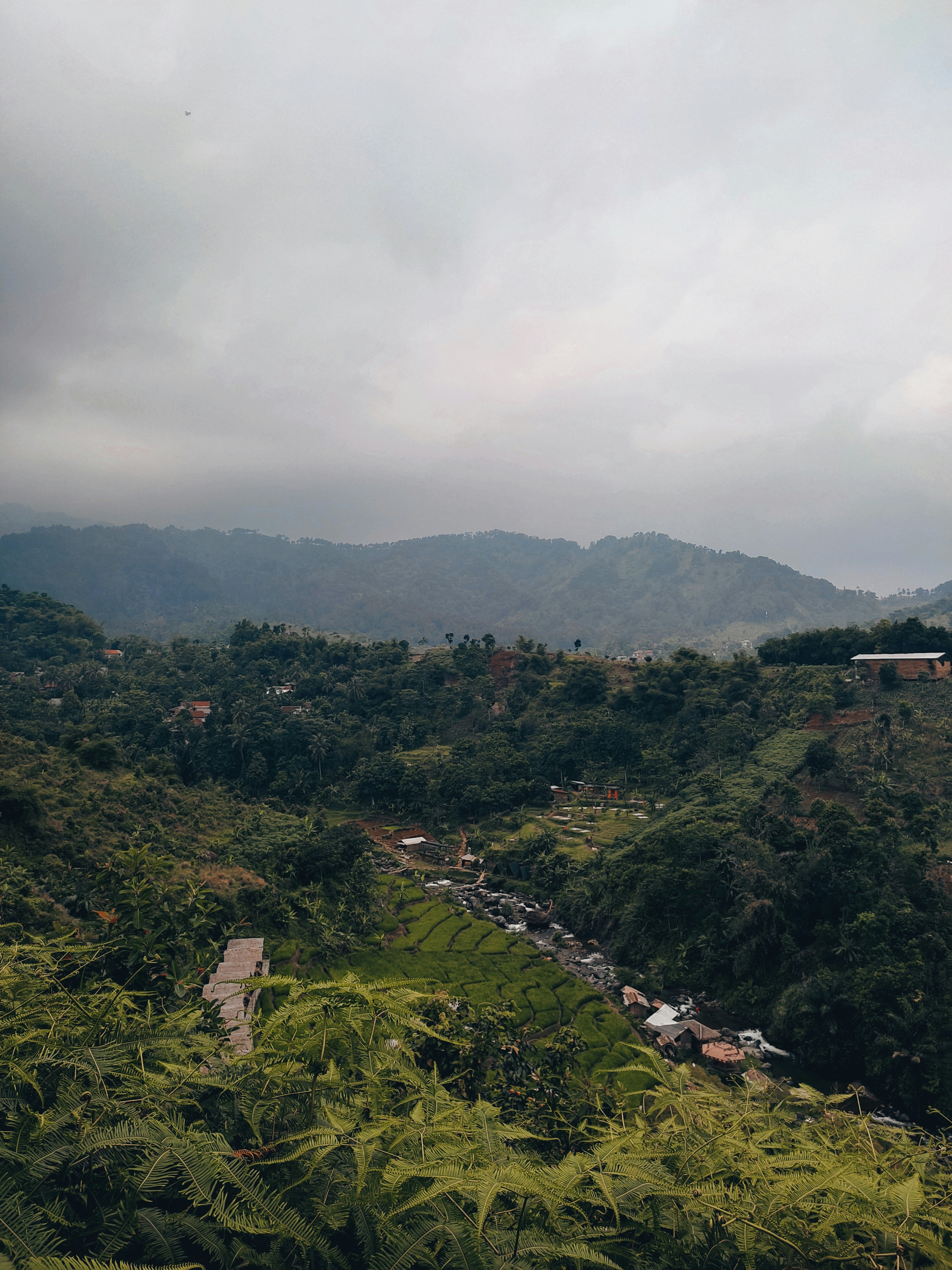 Photo by firdausraginda