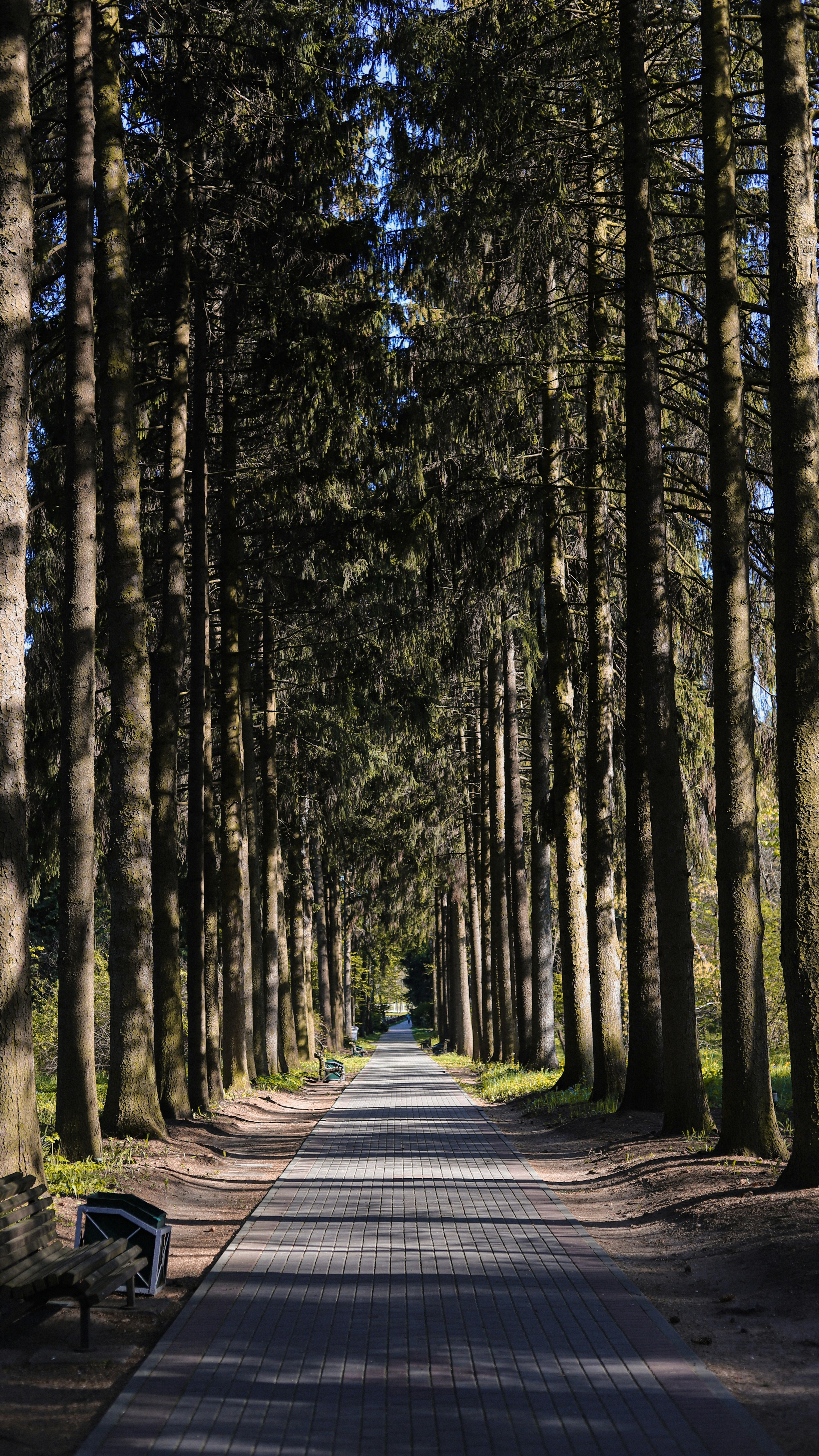 Photo by art_almighty